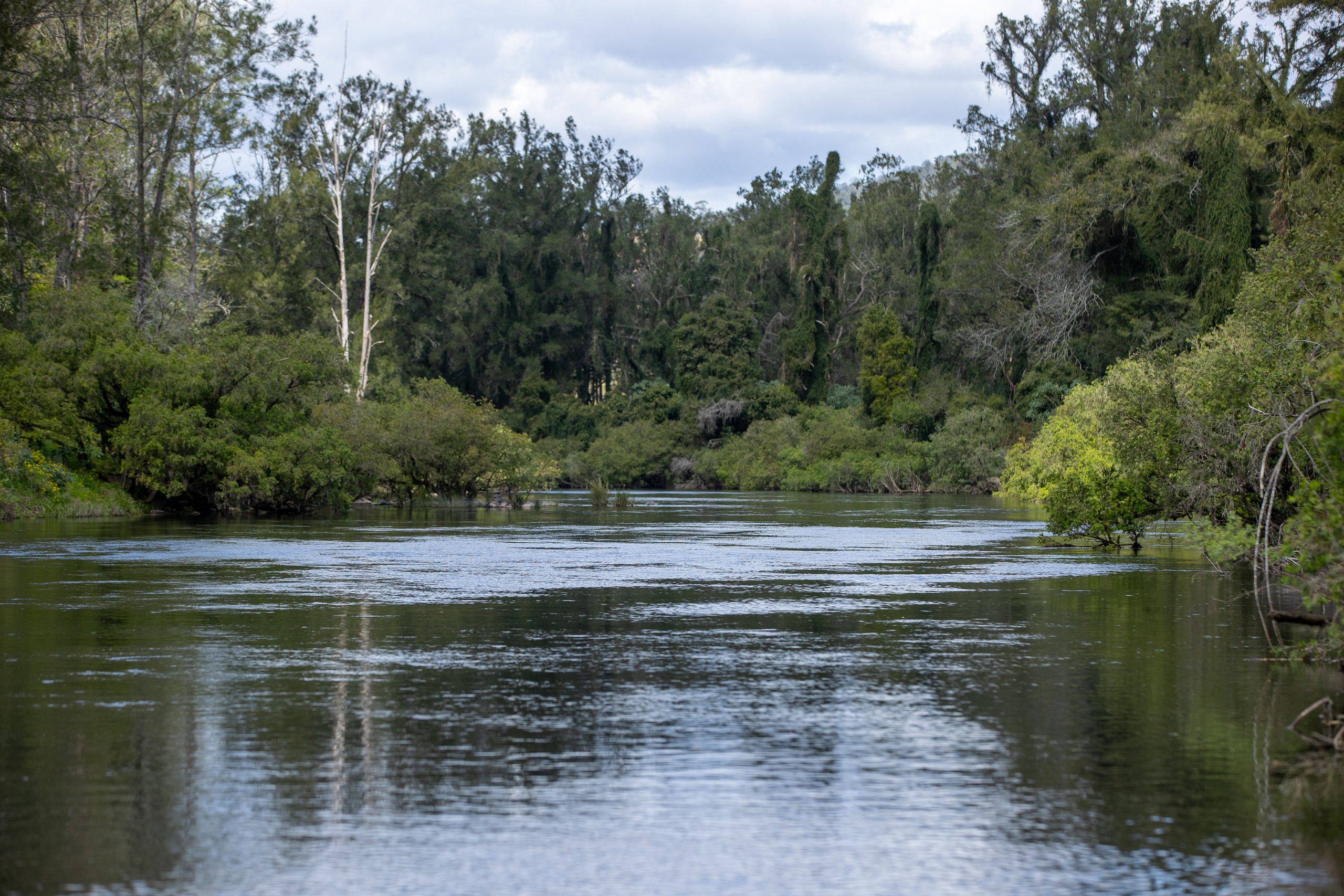 Caffreys Flat, NSW 2424