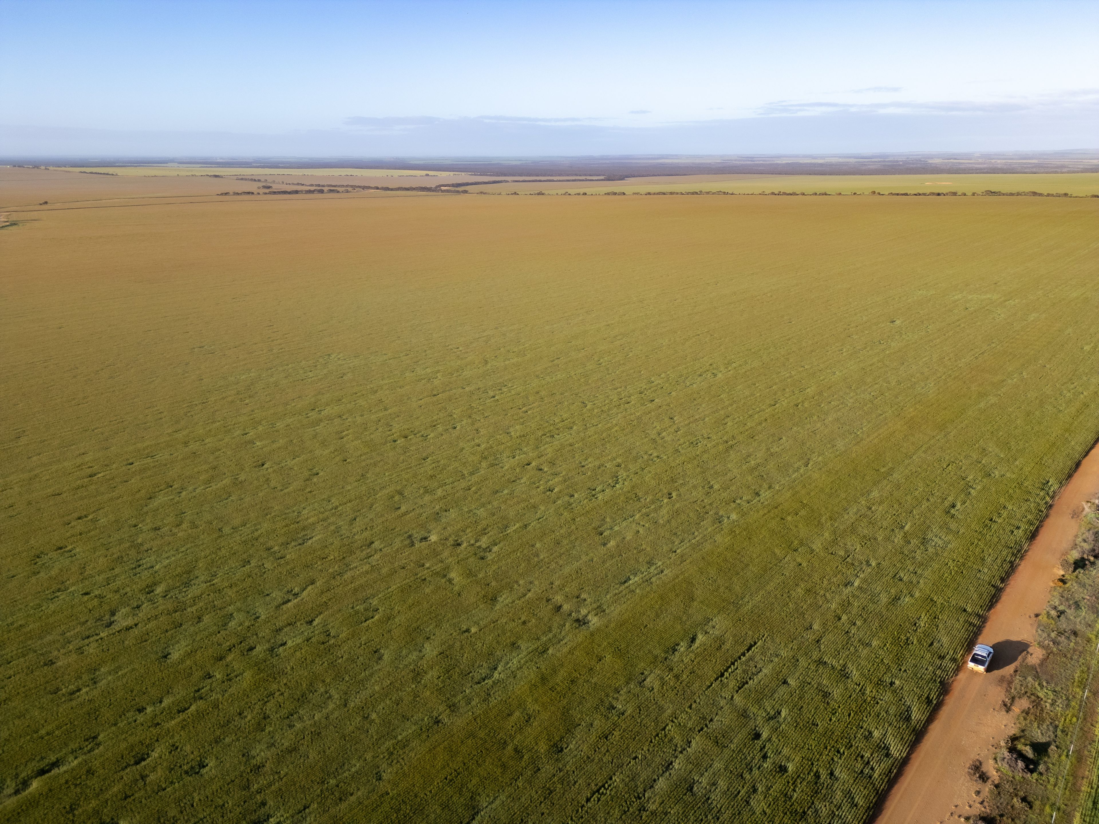 Charlie's 2233 Fourteen Mile Road, Mallee Hill, WA 6353