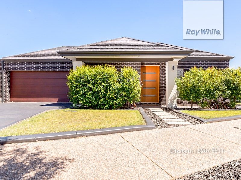 19 The Avenue, Blakeview SA 5114