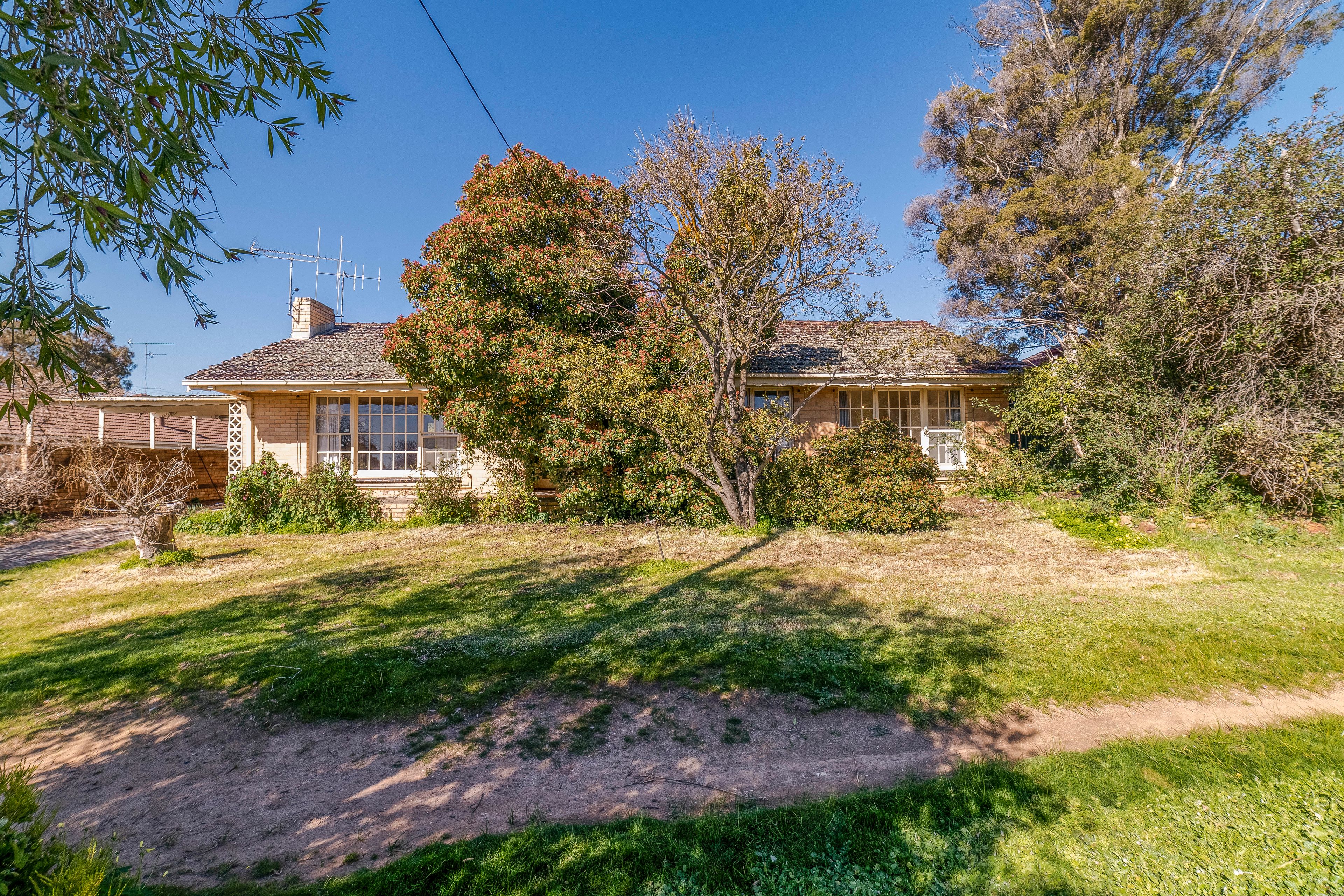 59 Curtin Street, Flora Hill, VIC 3550