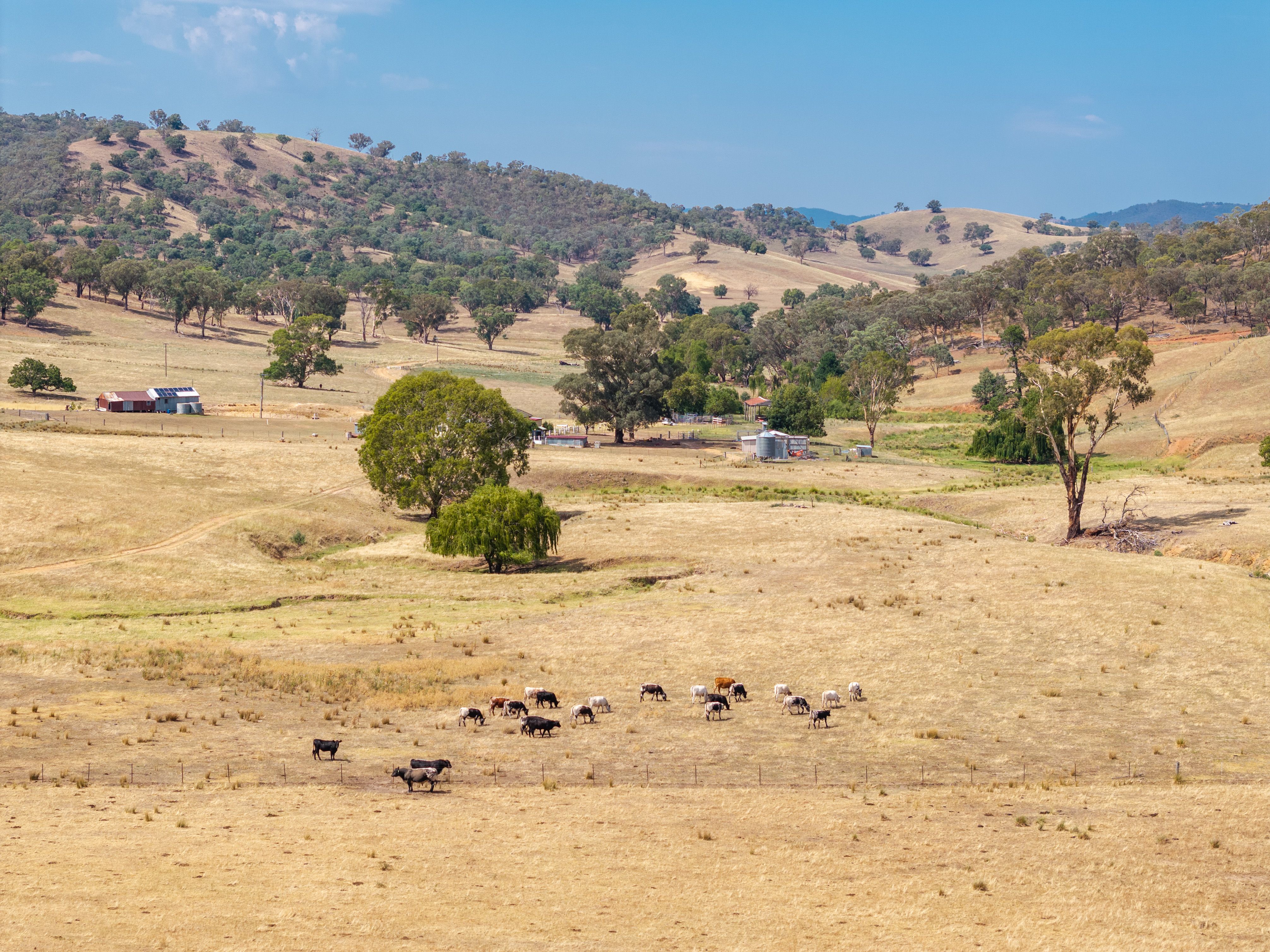 197 Stewarts Road, Oberne Creek, NSW 2650