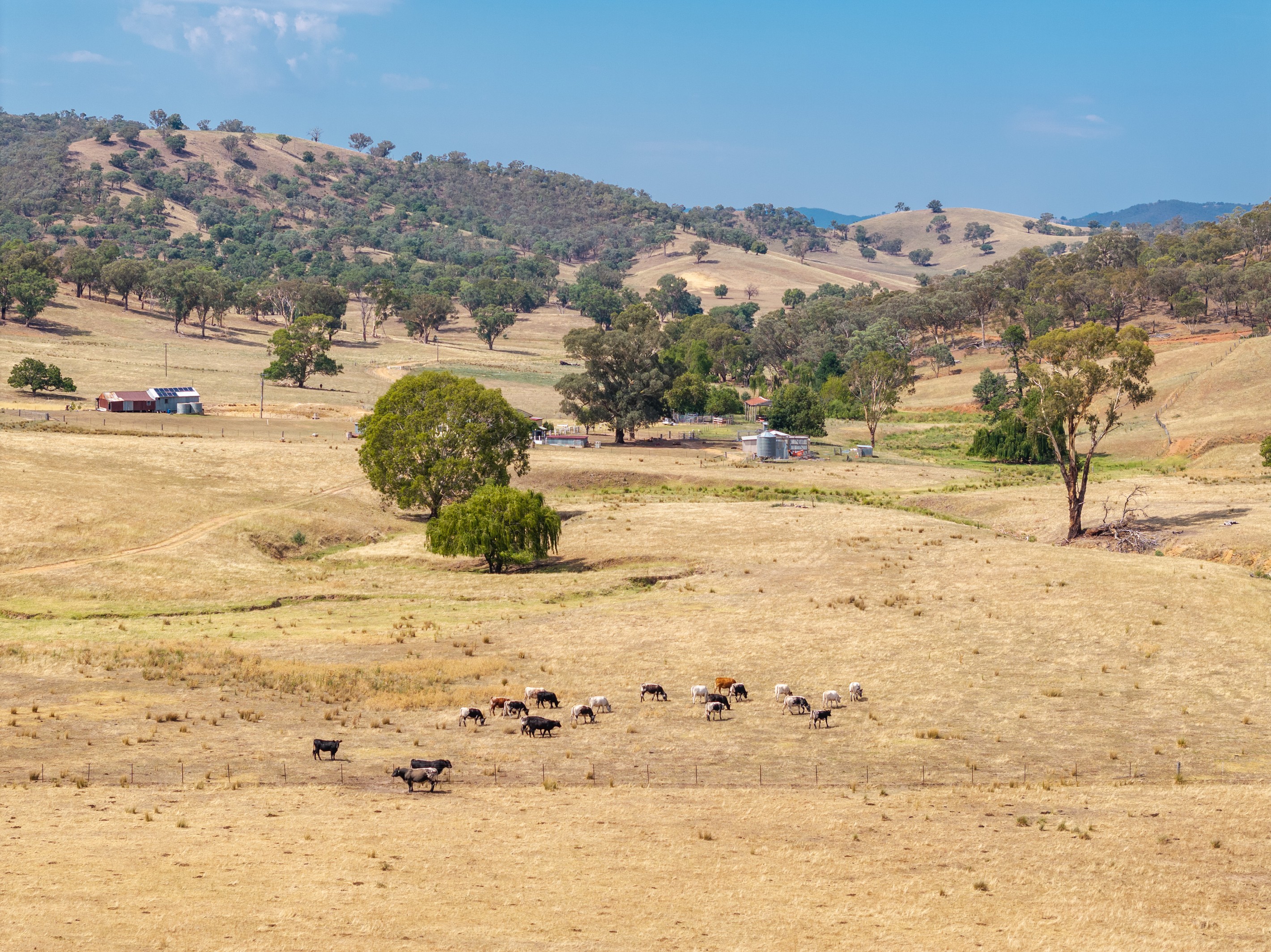 197 Stewarts Road, Oberne Creek, NSW 2650