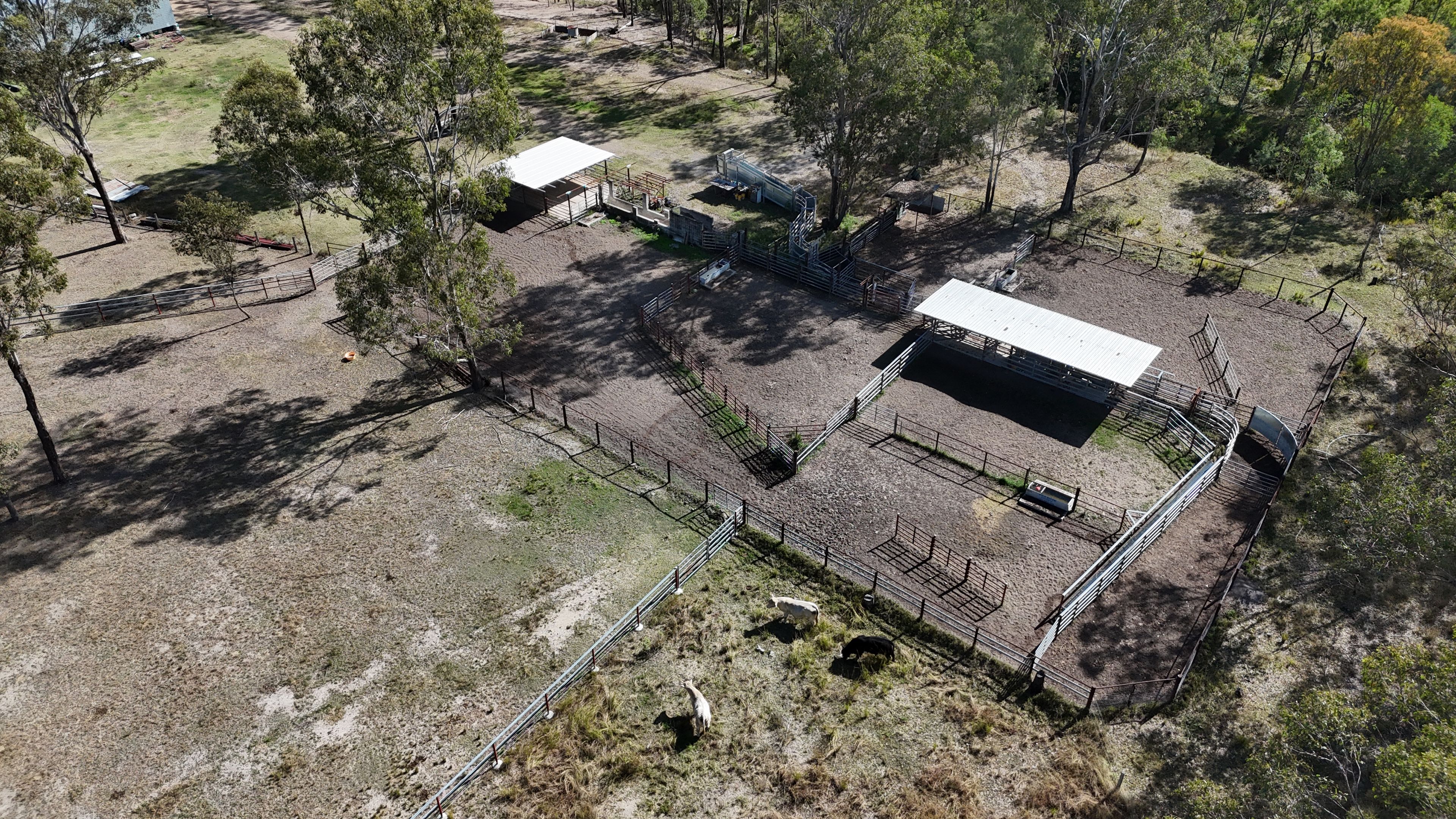 Lot 43 and Lot 50 Kalliwa Road, Mingo — photo 14 of 29