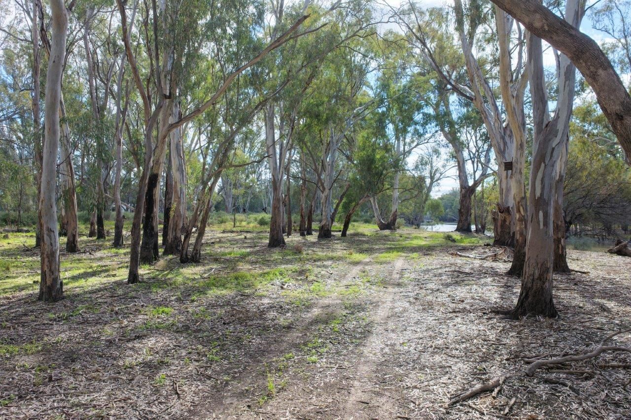 Lot 16 Hay St (otherwise known as Nomore Rd) — photo 9 of 11