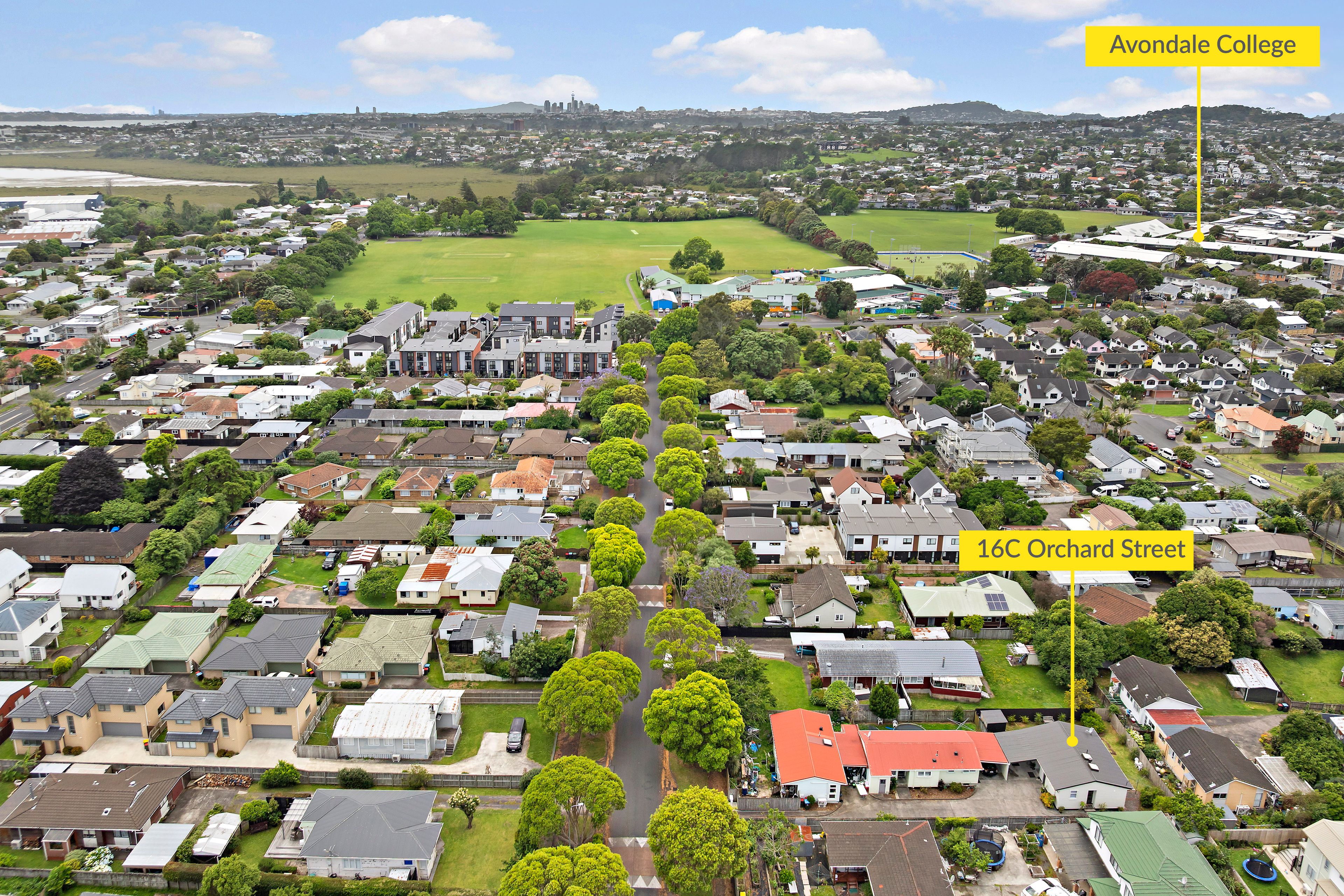 16C Orchard Street, Avondale, Auckland City