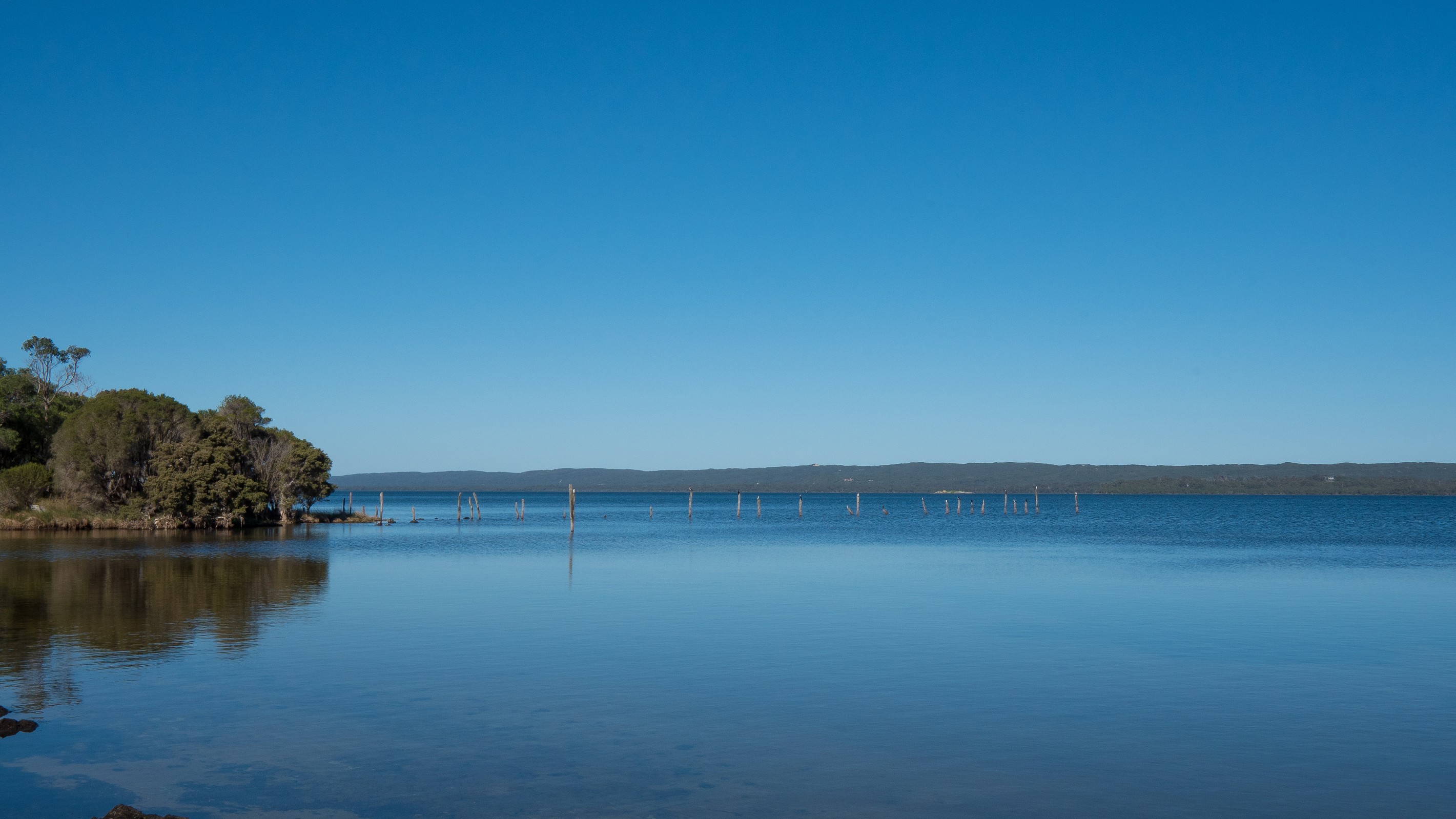 Lot 228 Hibbertia Way, Denmark, WA 6333