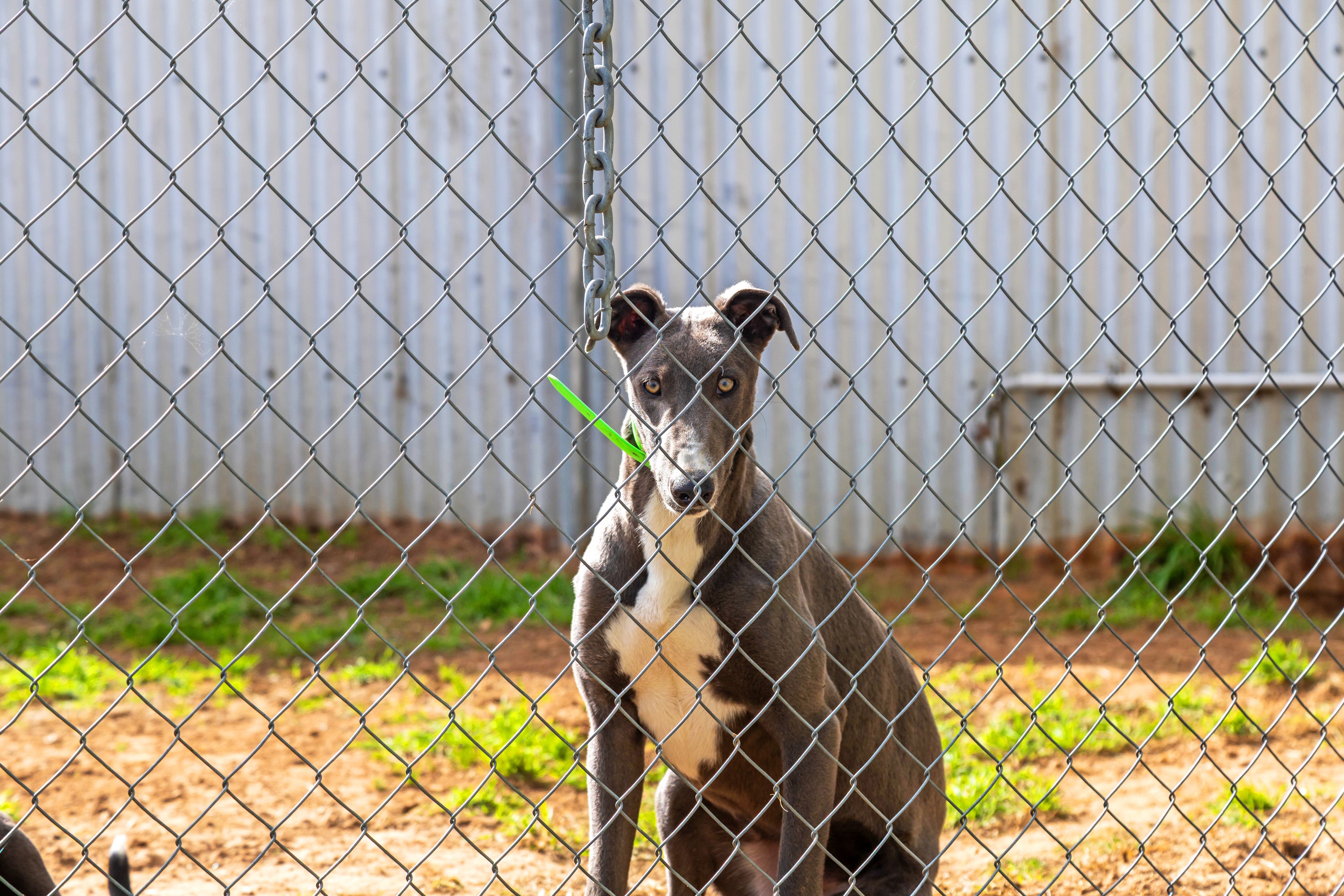 487 Sunraysia Highway, Avoca, VIC 3467