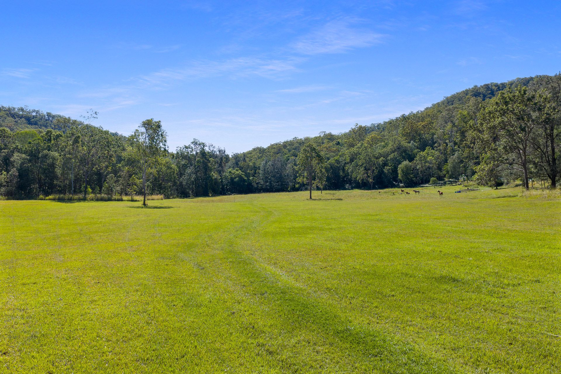 Peaceful Off-Grid Escape Along Amamoor Creek — photo 5 of 16