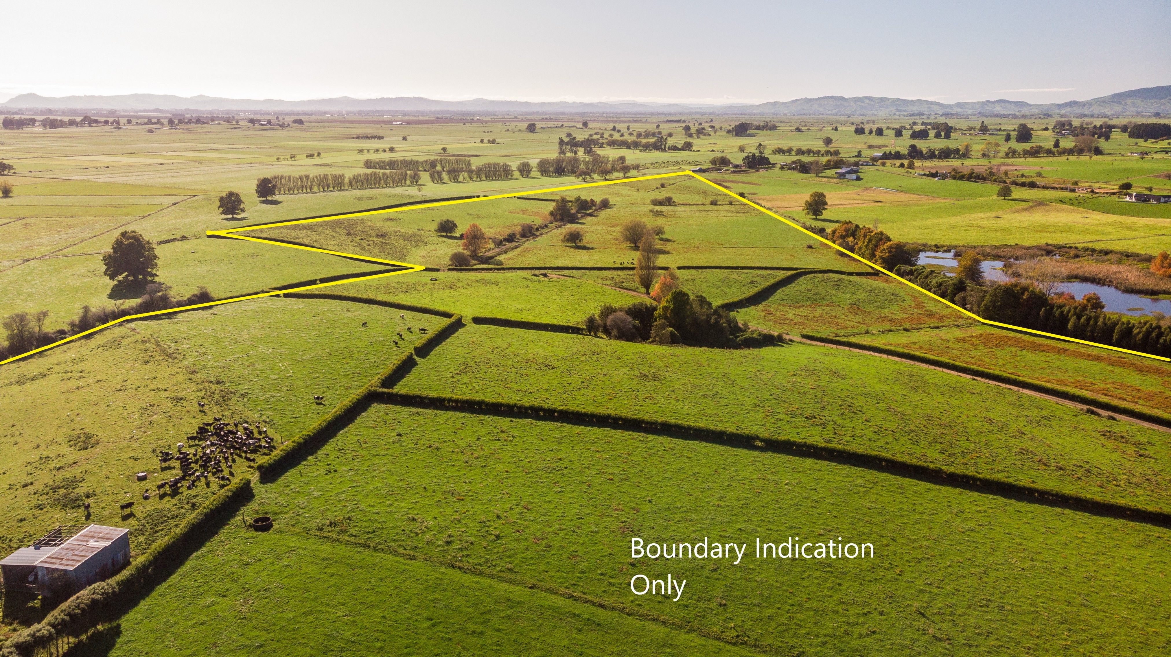 4805 Ohaupo Road, Ohaupo, Waipa District 3803 Sold Rural Grazing