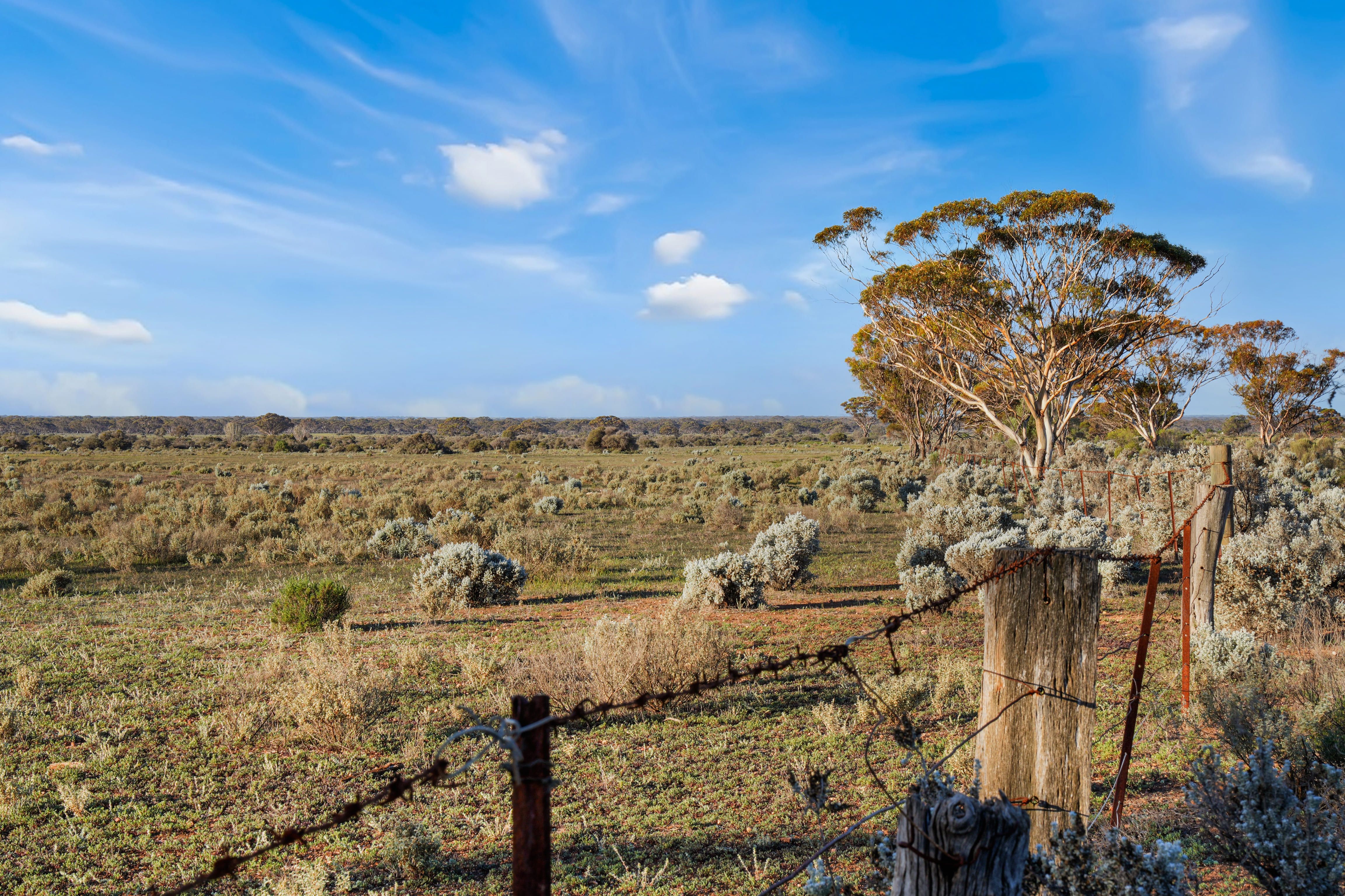 Lot 53 Mallee Road — photo 8 of 23