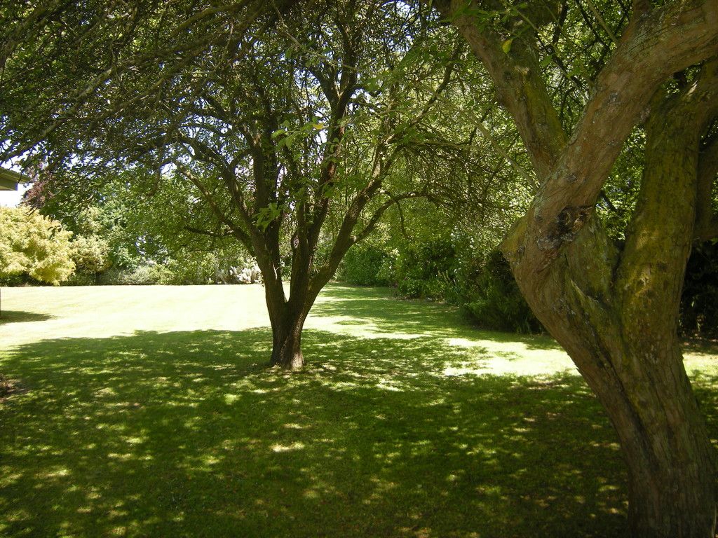 364 Lake Road South, Doyleston, Selwyn District