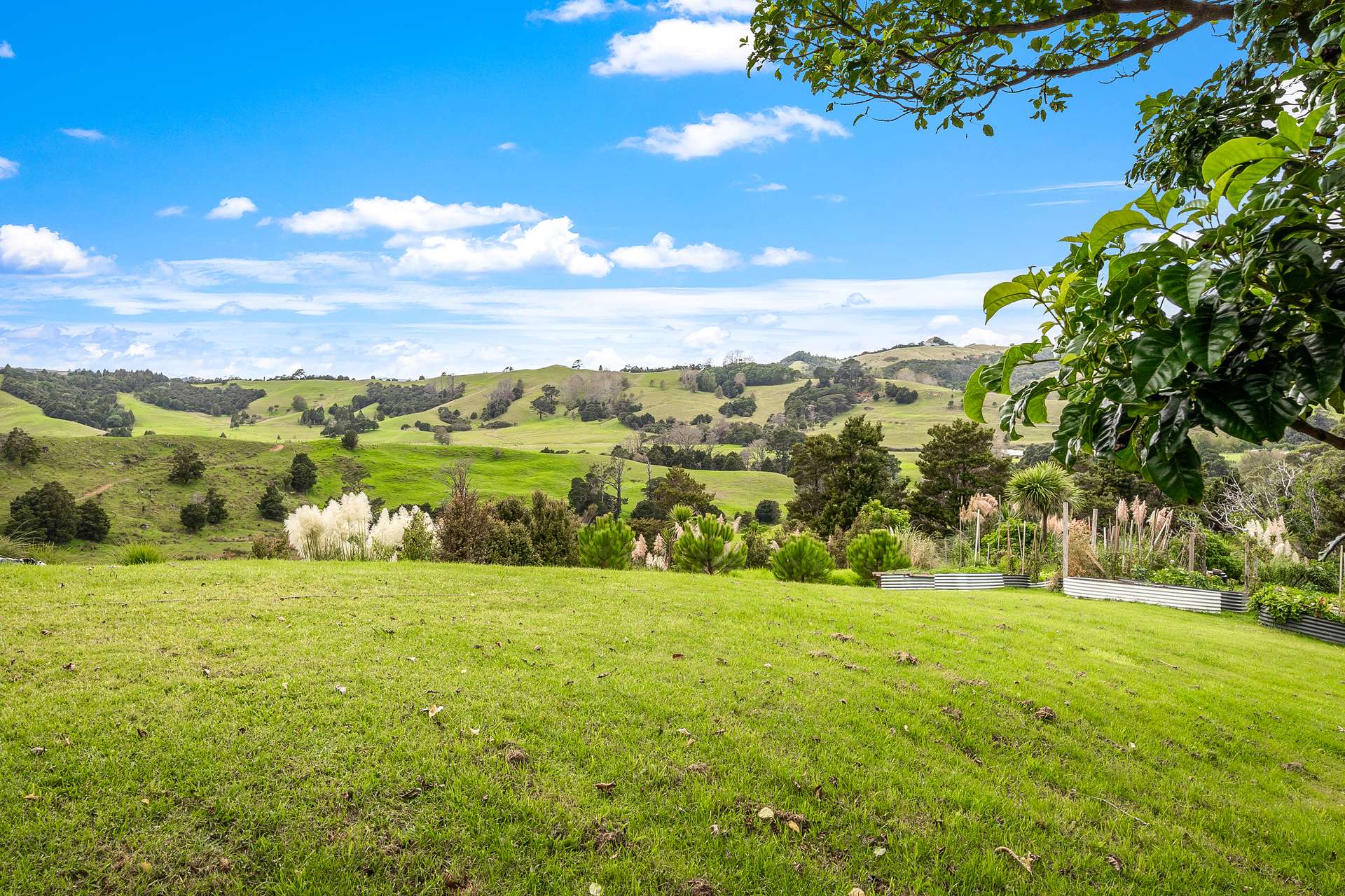 549 Matakana Valley Road photo 1