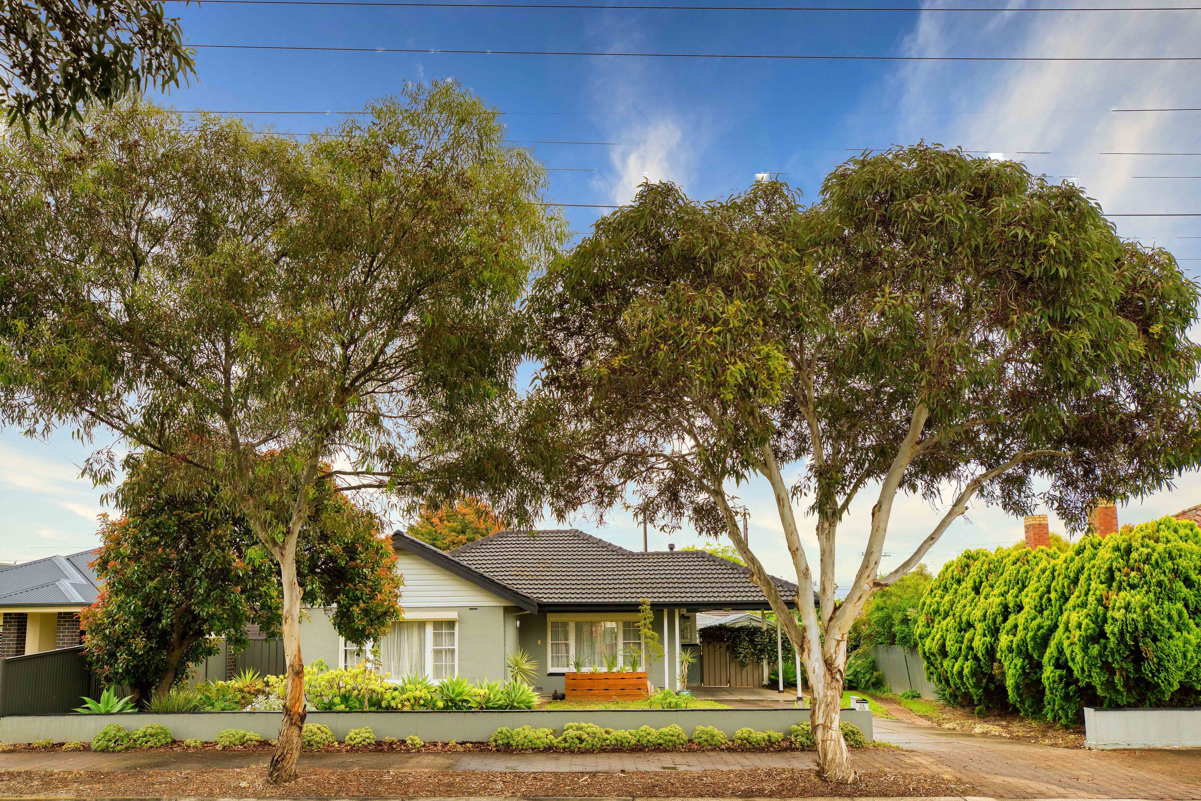 14 Cashel Street, St Marys, SA 5042