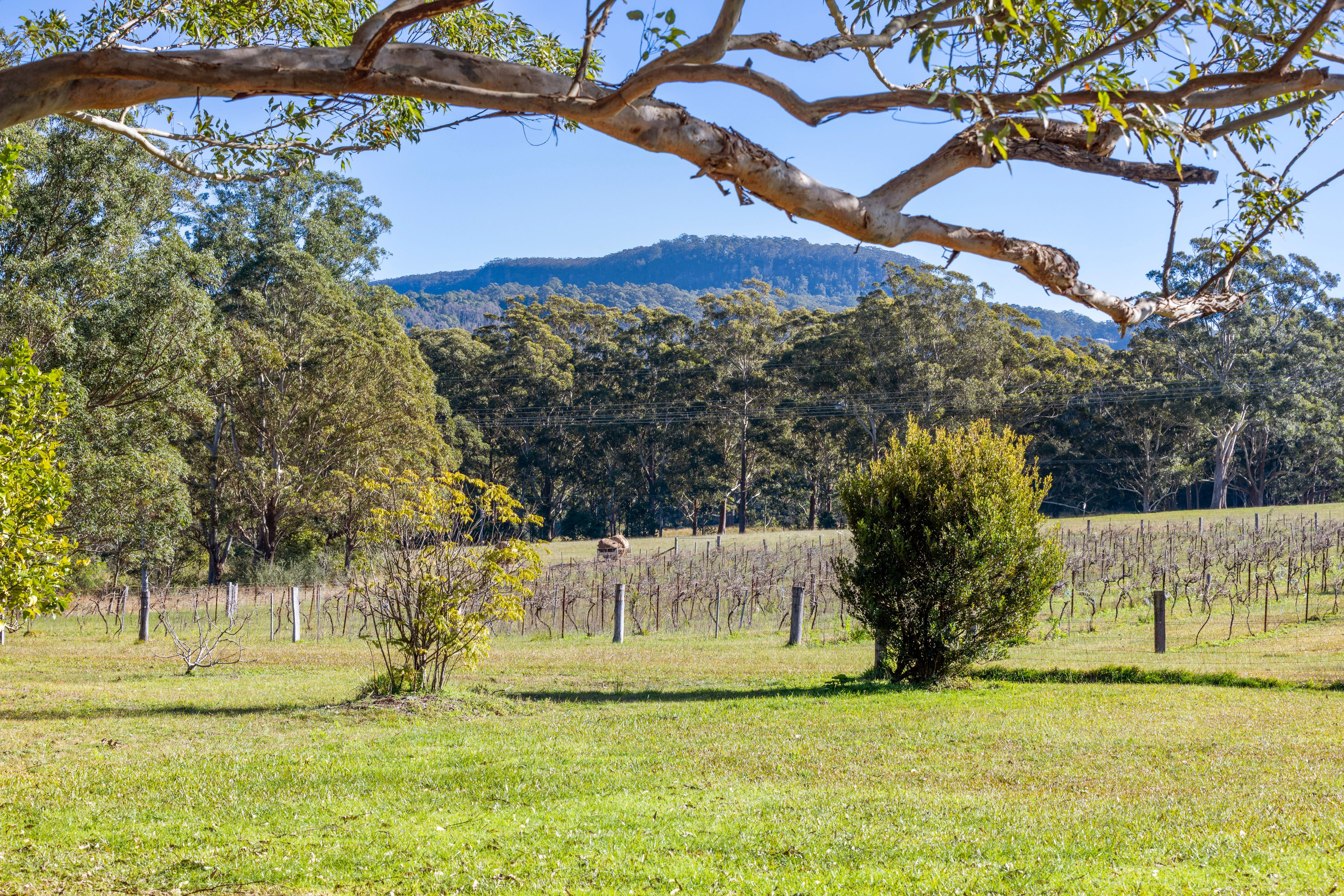 141 Woodhill Mountain Road, Broughton Vale, NSW 2535