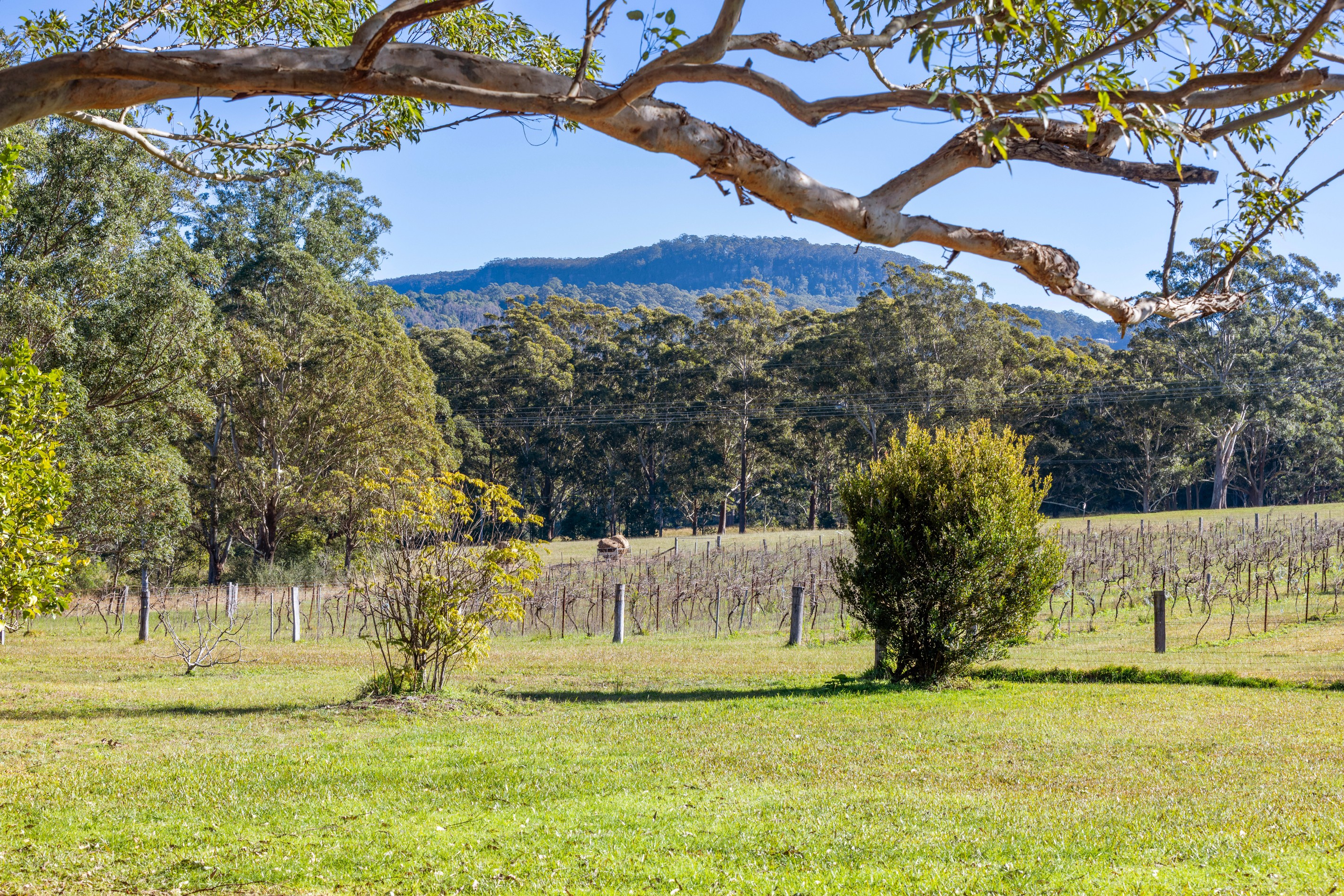 141 Woodhill Mountain Road, Broughton Vale, NSW 2535