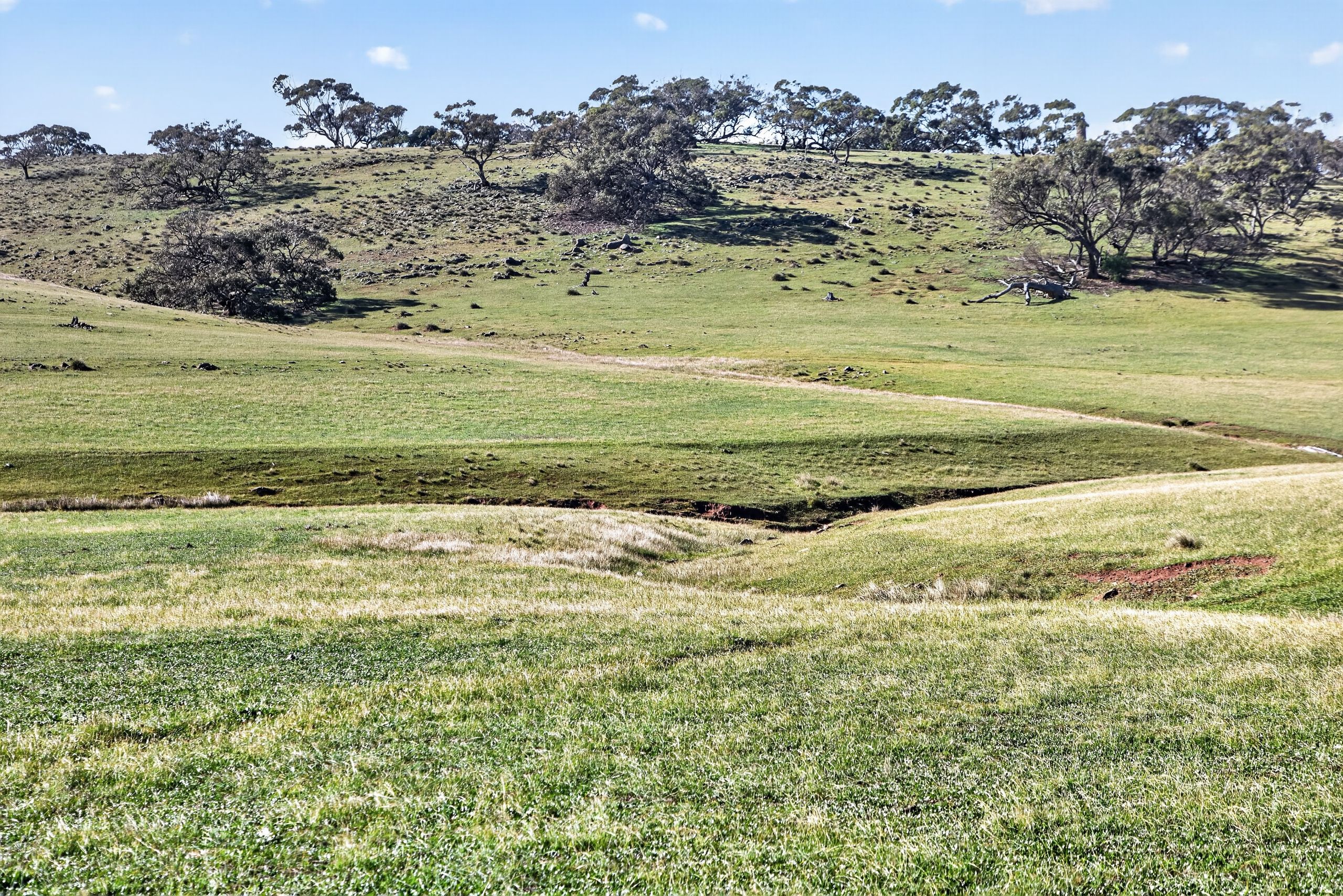 'Preamimma' Preamimma Road — photo 6 of 17