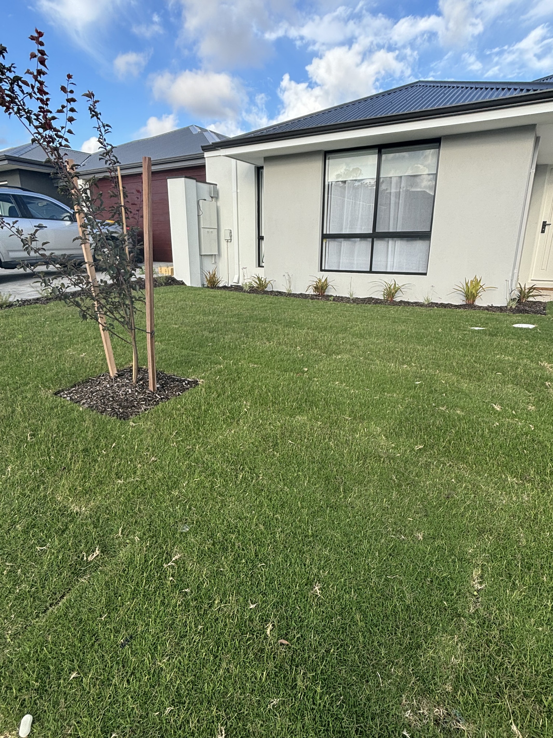 22 Pristine Loop, Baldivis, WA 6171