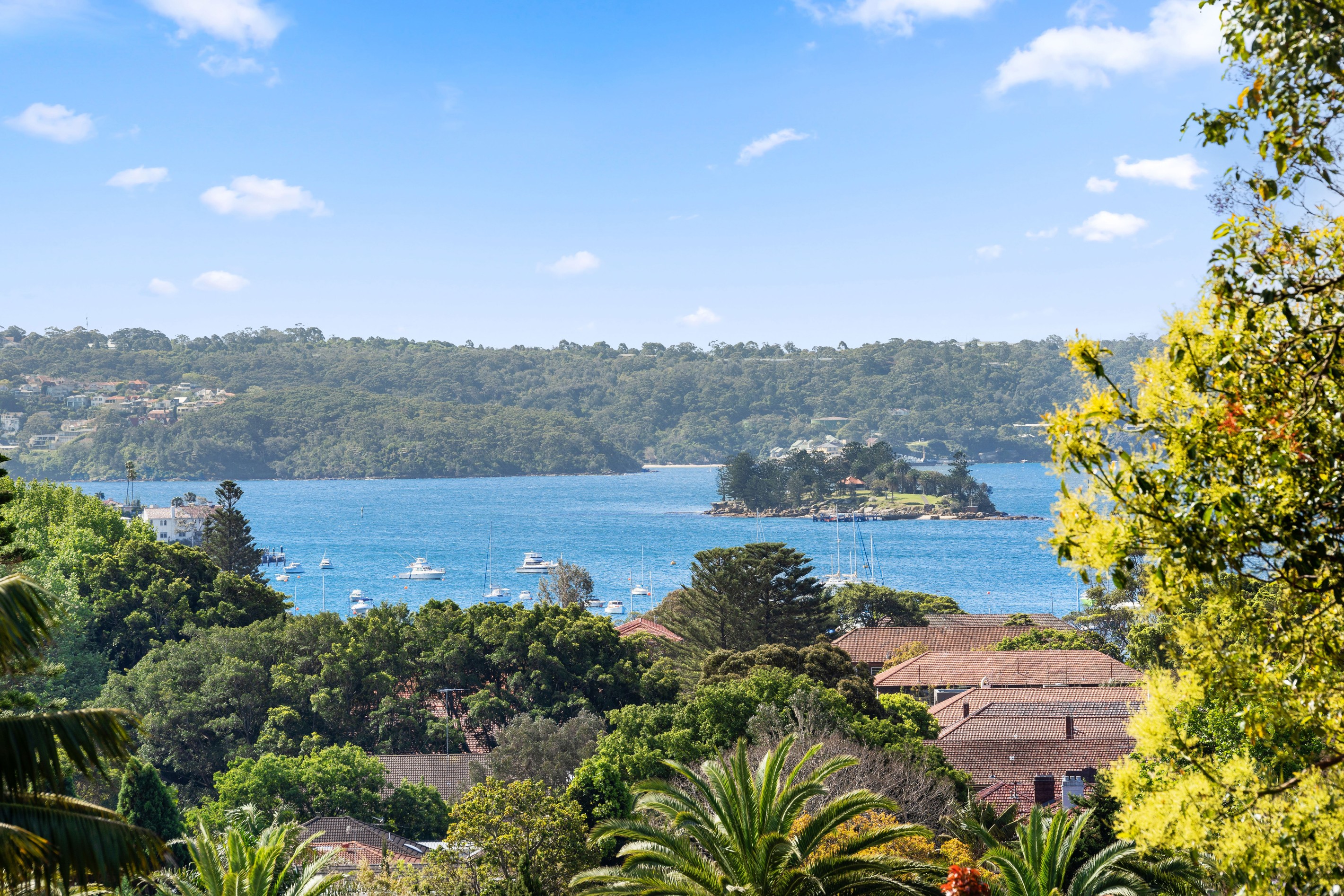 95 Balfour Road, Bellevue Hill, NSW 2023