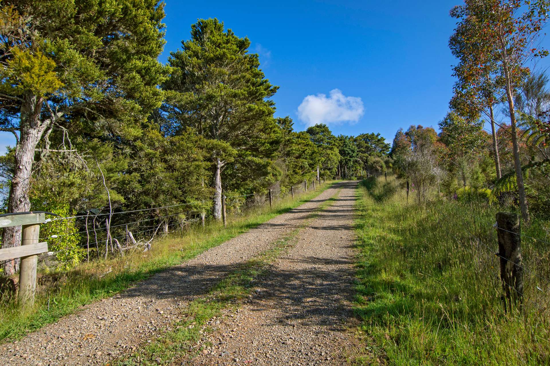 0 Russell Road Airstrip Block photo 16