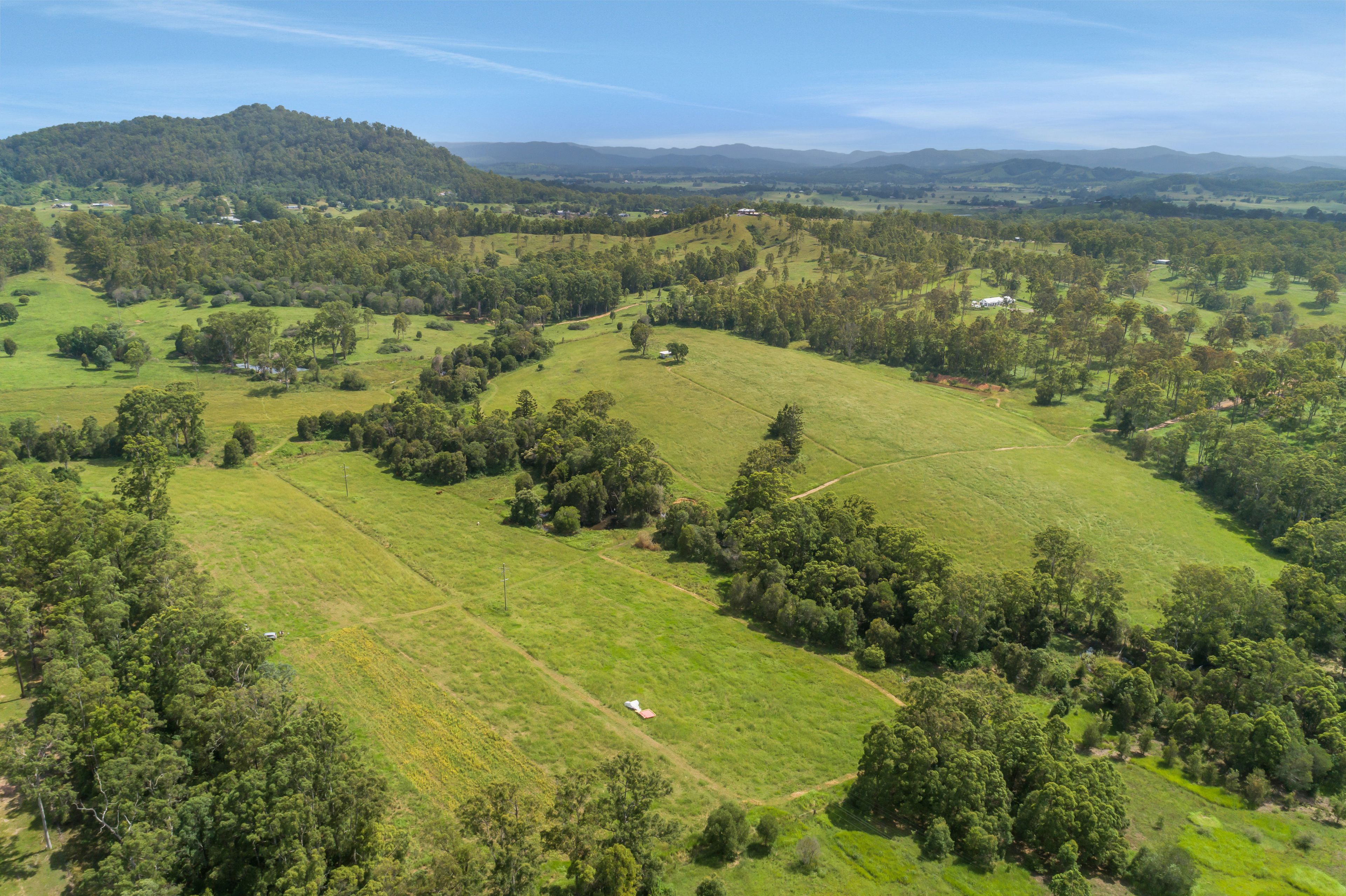 'The Mary Valley Farm' - A Rare Hinterland Legacy — photo 30 of 30