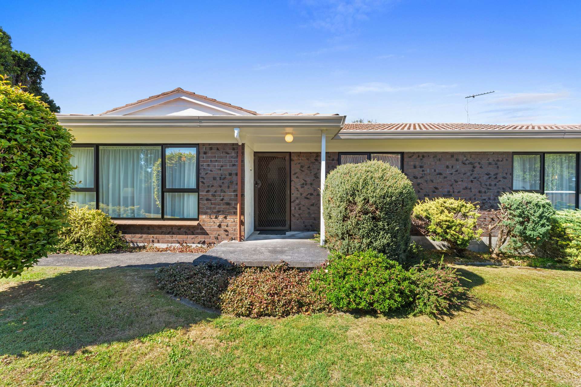 230 Walter Strevens Drive photo 8