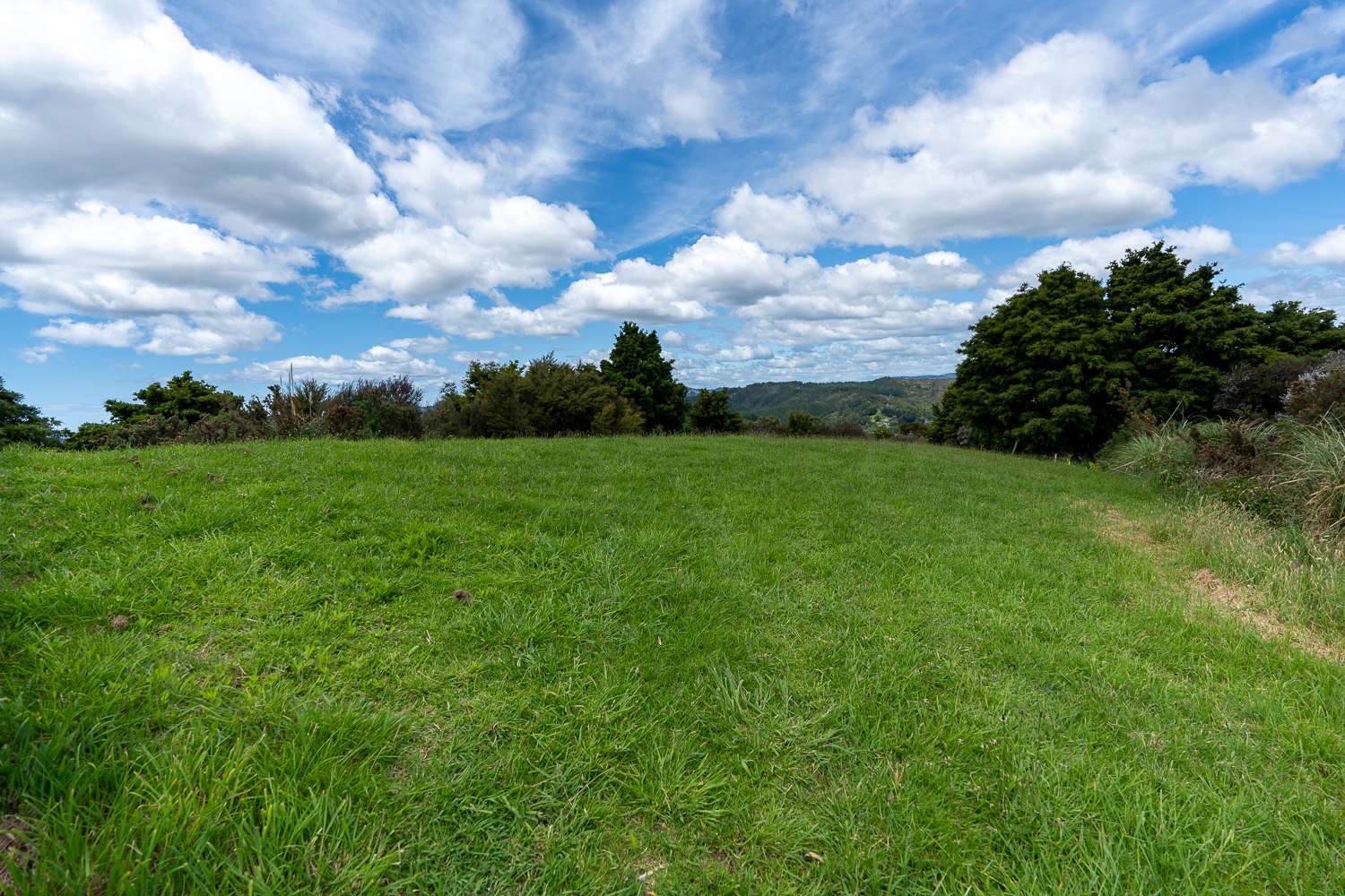 1313 Ngunguru Road photo 23