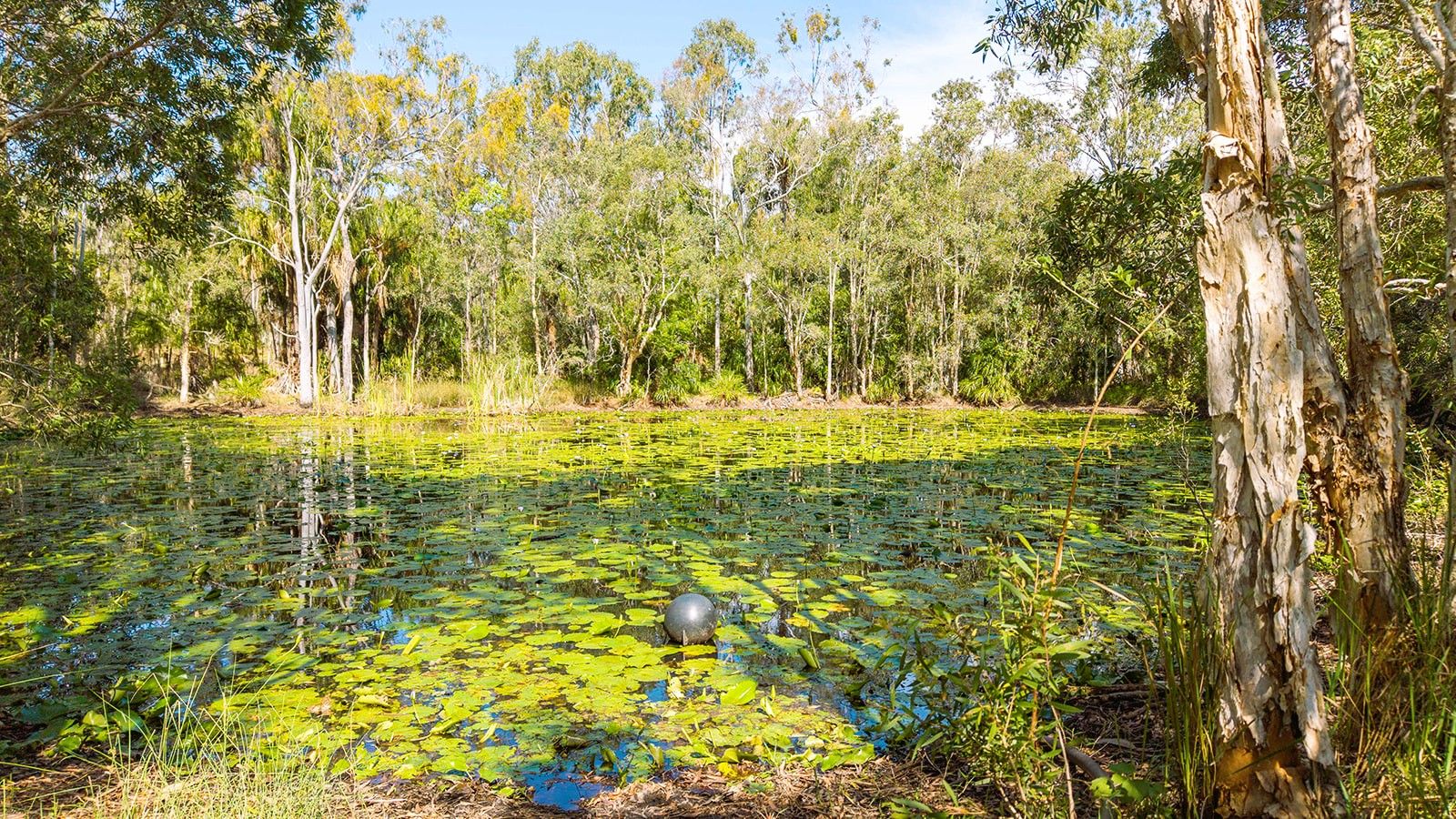 187 Rafting Ground Road, Agnes Water, QLD 4677