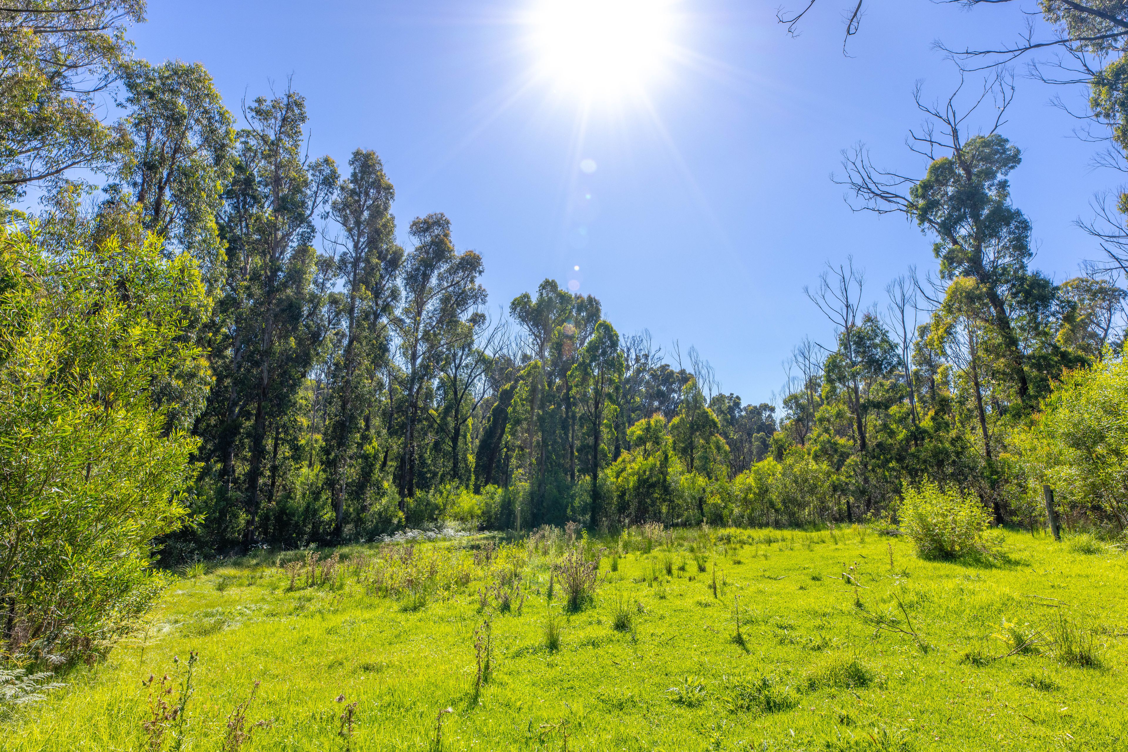 Lot 4 Braidwood Road — photo 17 of 17