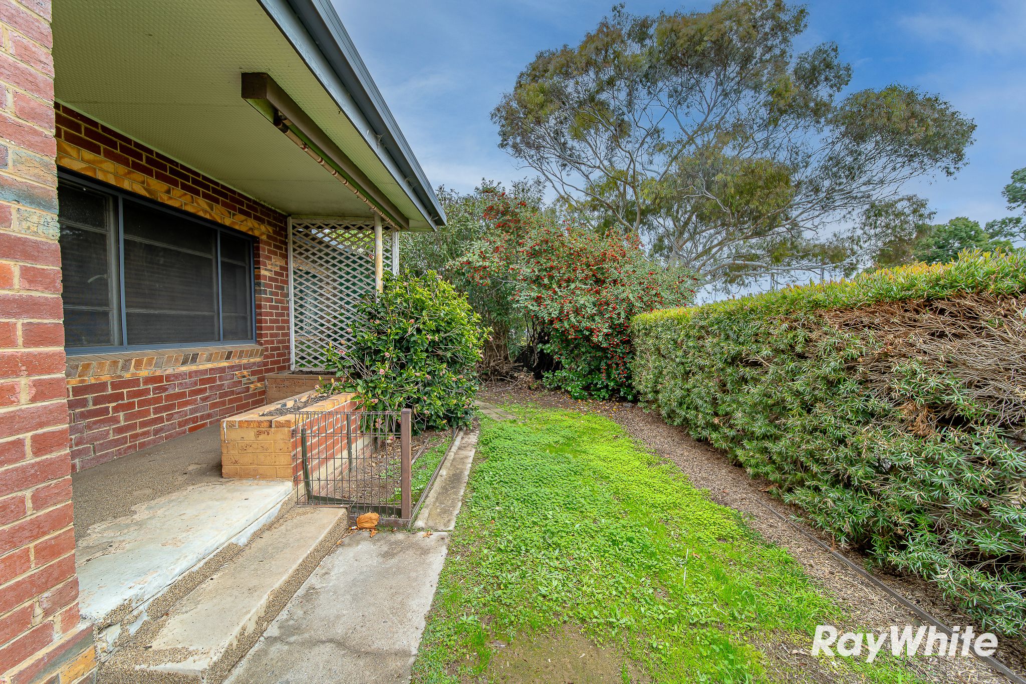 6 Ellis Street, Flora Hill, VIC 3550 Sold House Ray White Bendigo