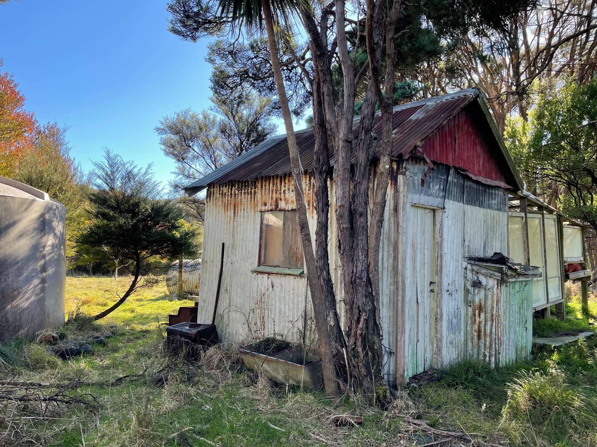 172 Wharariki Road photo 7