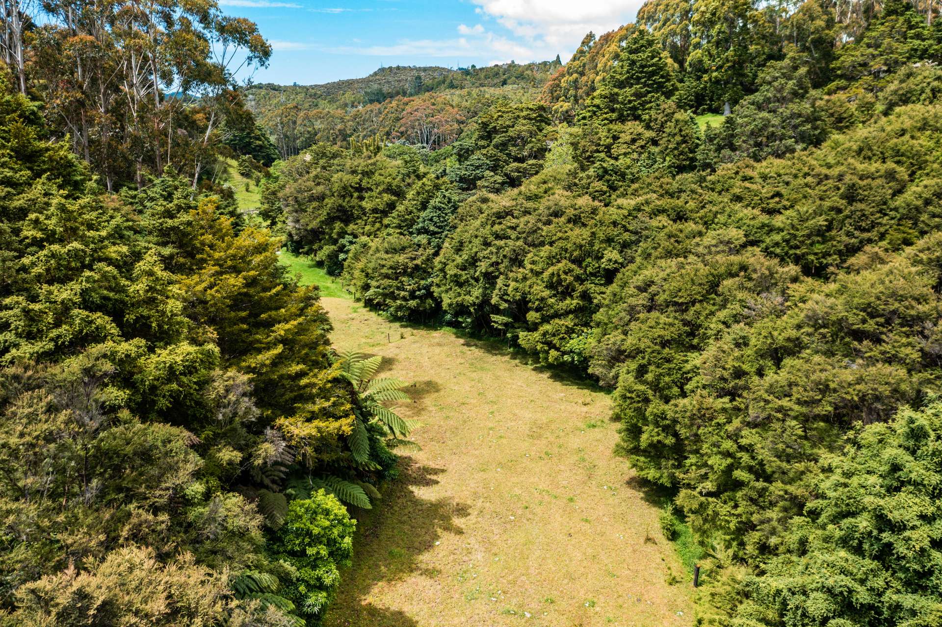 144 Waipoka Road photo 32