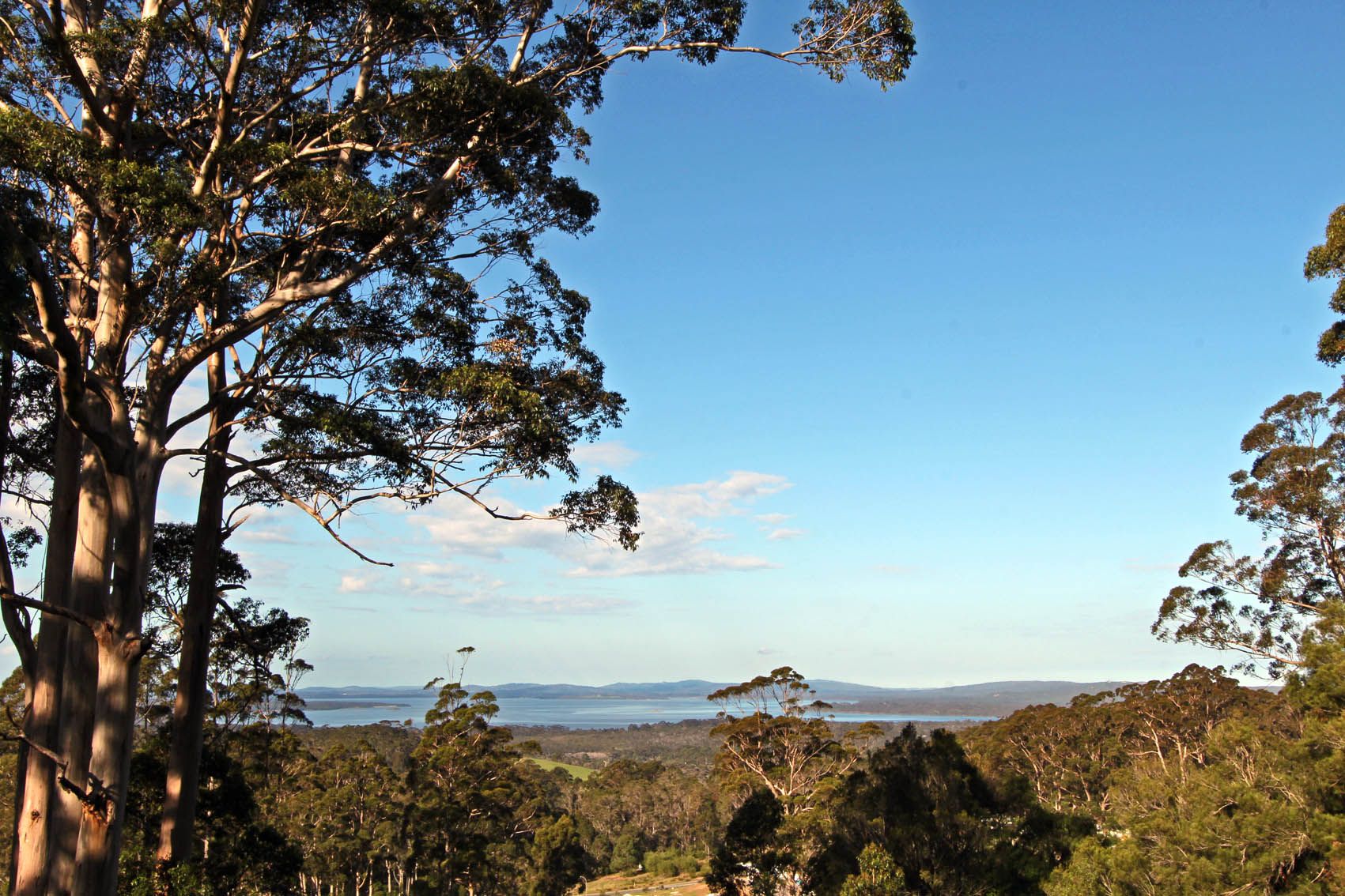 118 Cussons Road, Denmark, WA 6333
