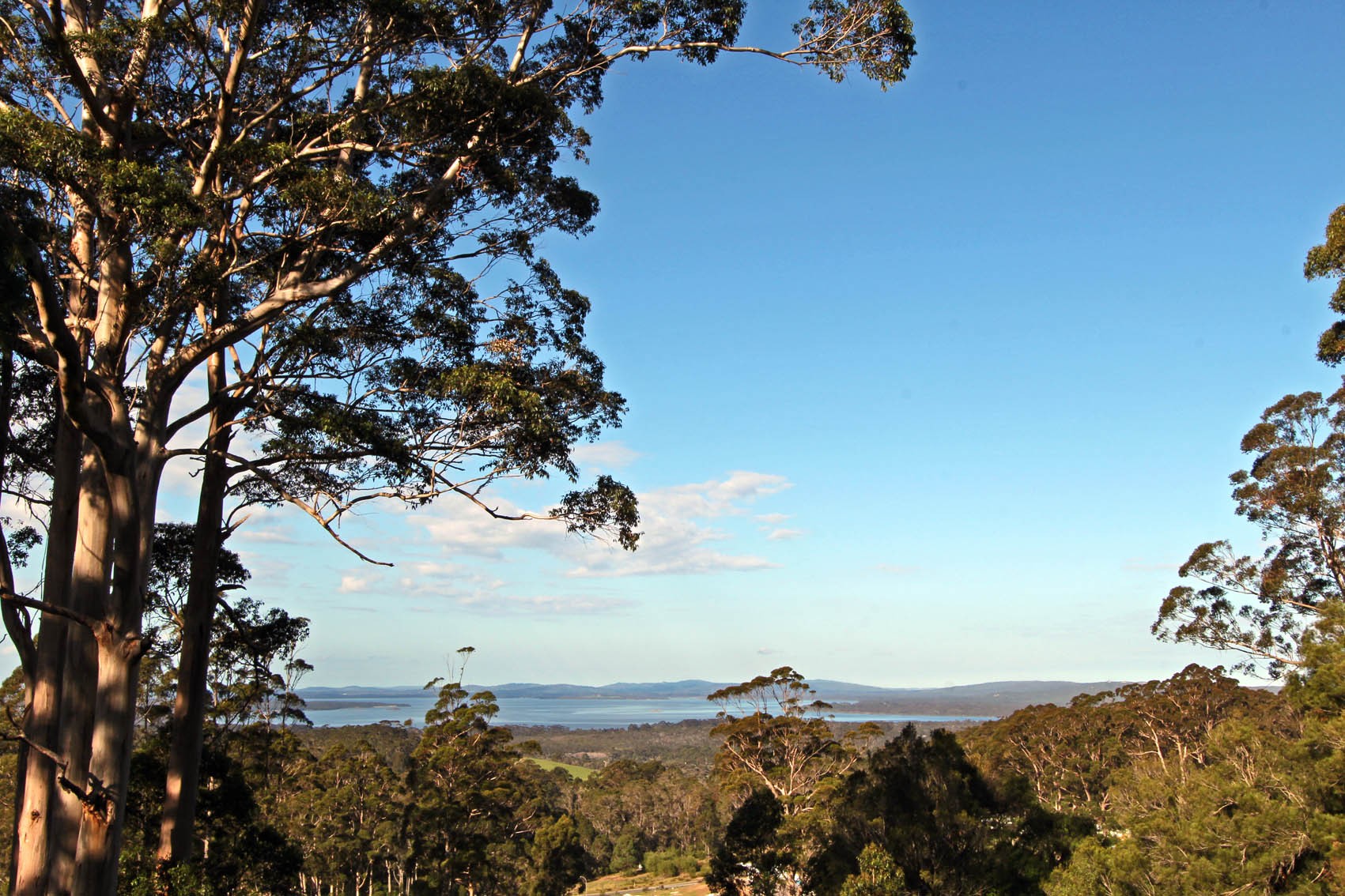 118 Cussons Road, Denmark, WA 6333
