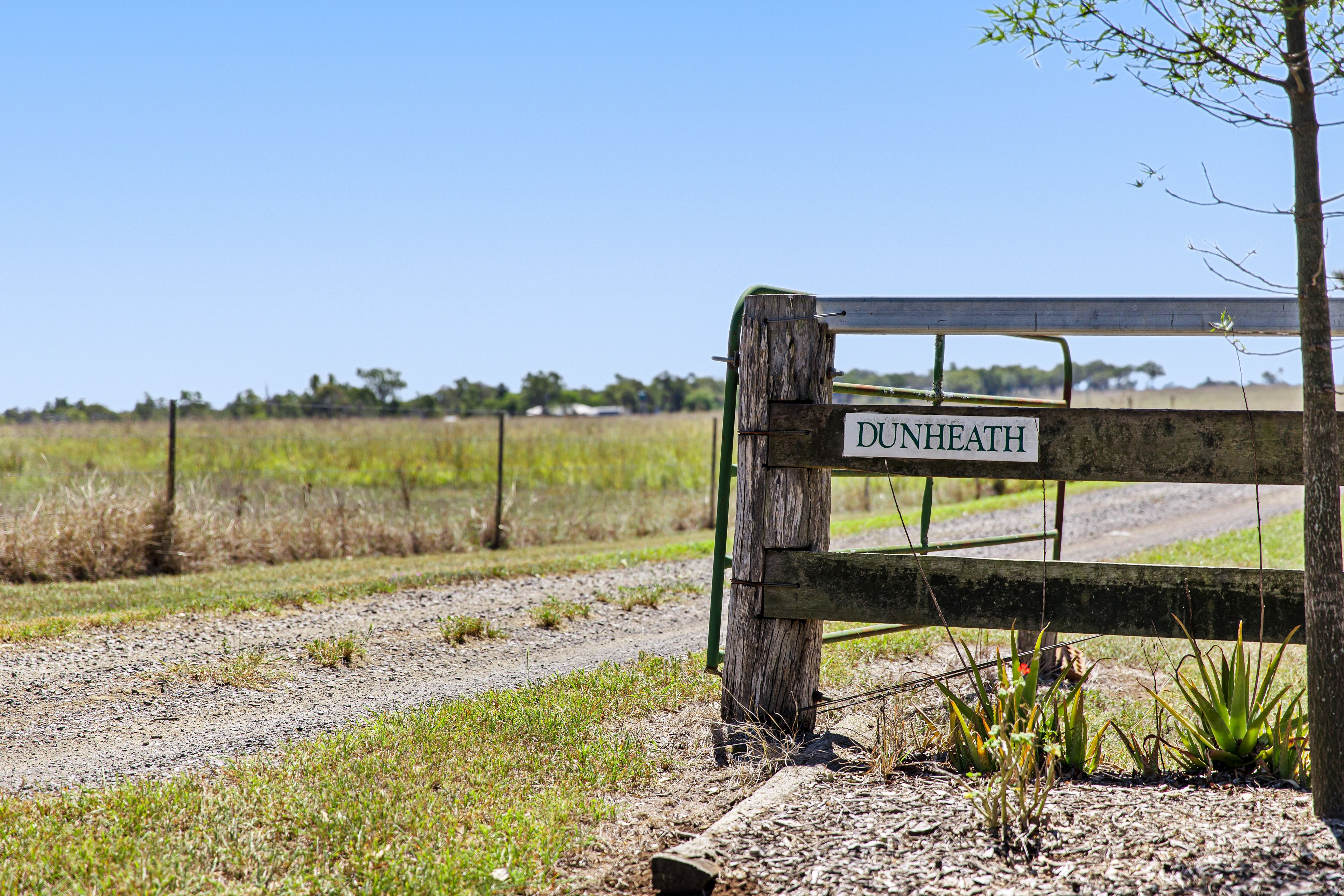 339 Biddeston Southbrook Road, Biddeston, QLD 4401 Sold Rural