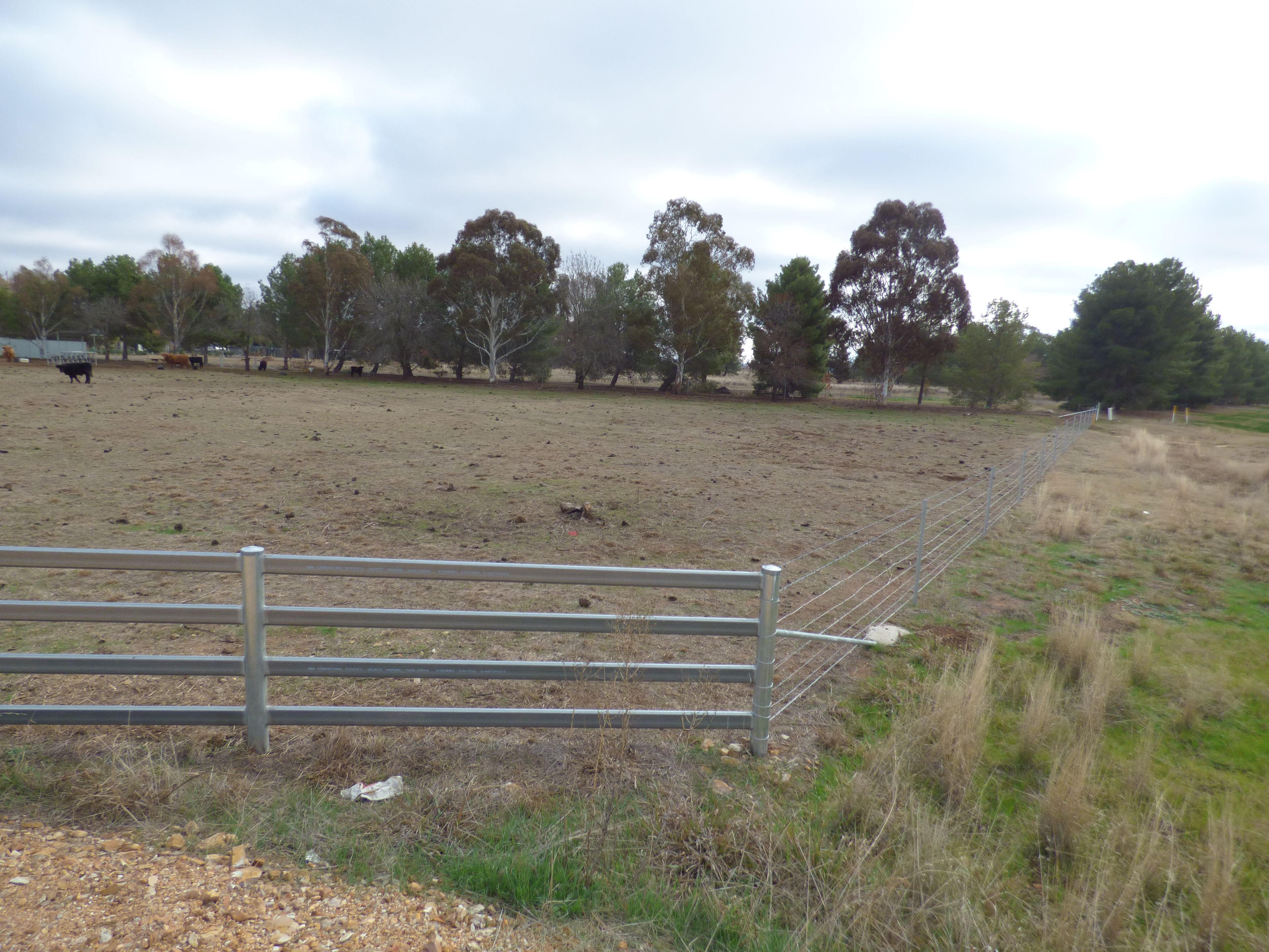 331A Calarie Road, Forbes, NSW 2871