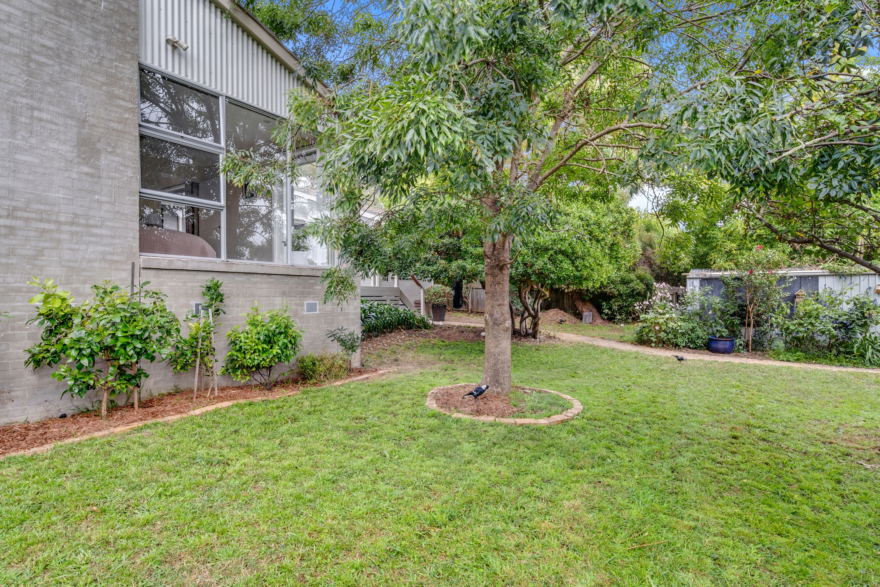 53 Lyttleton Crescent, Cook, ACT 2614