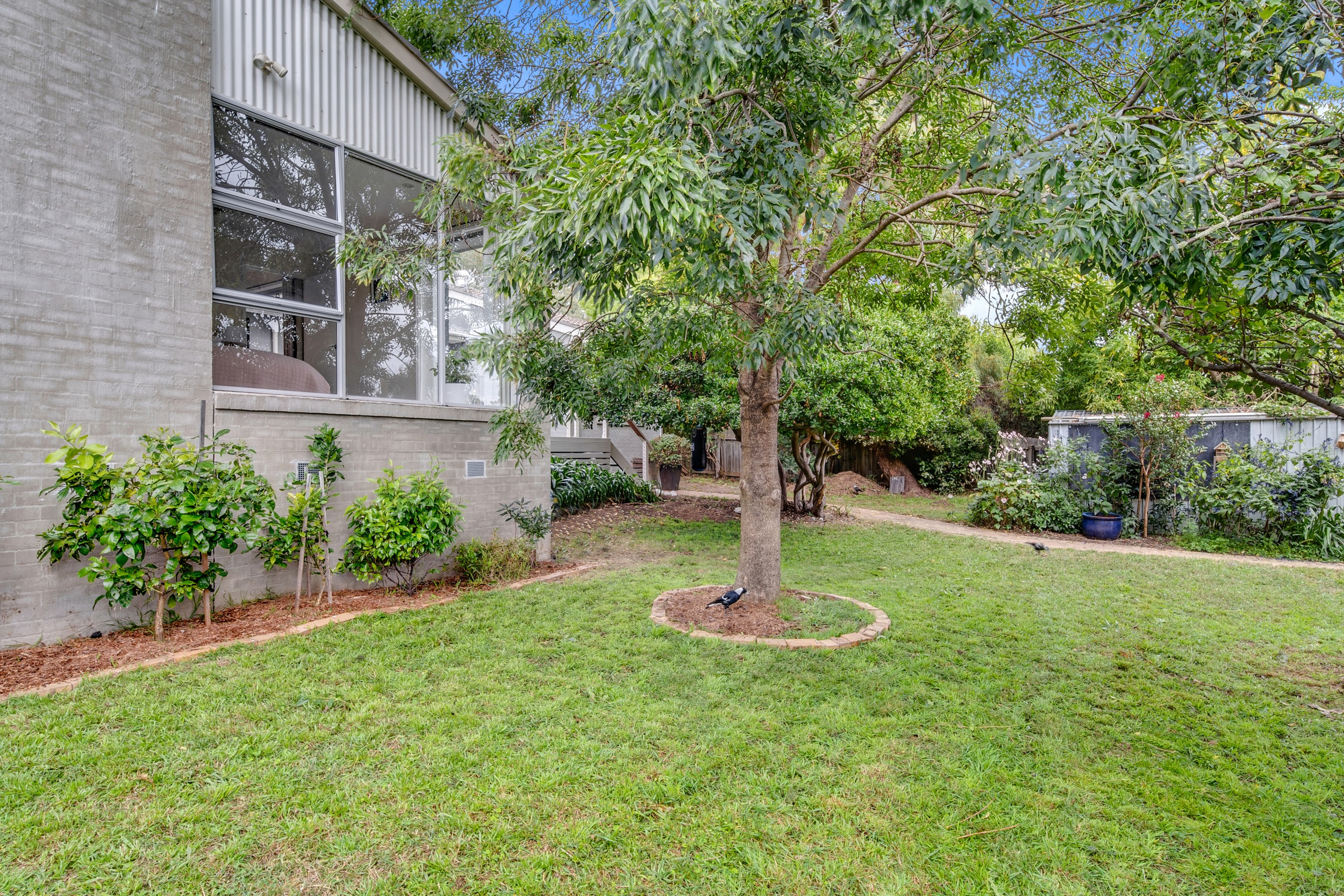 53 Lyttleton Crescent, Cook, ACT 2614