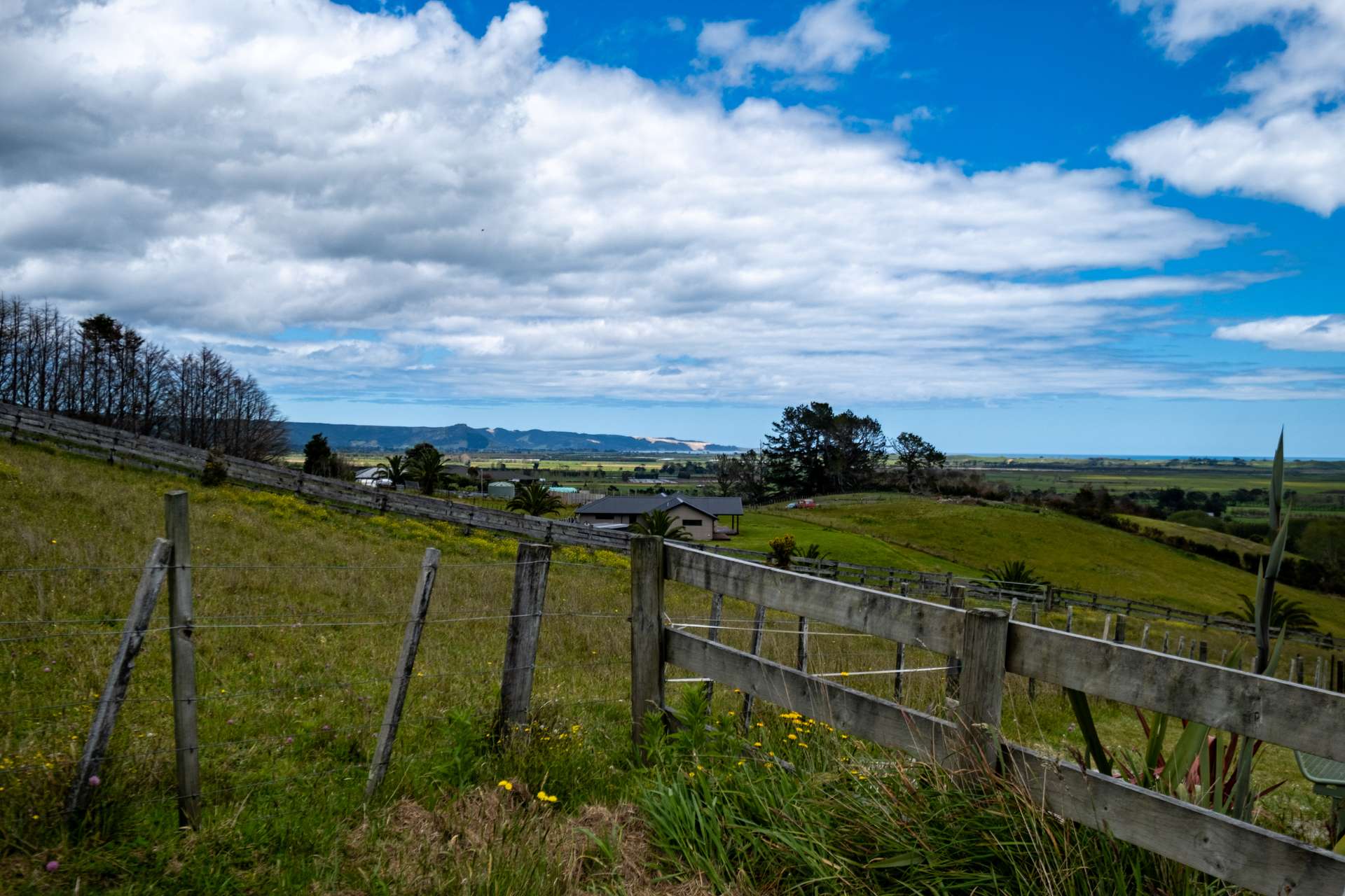 Lot 3 Okahu Downs Drive photo 13