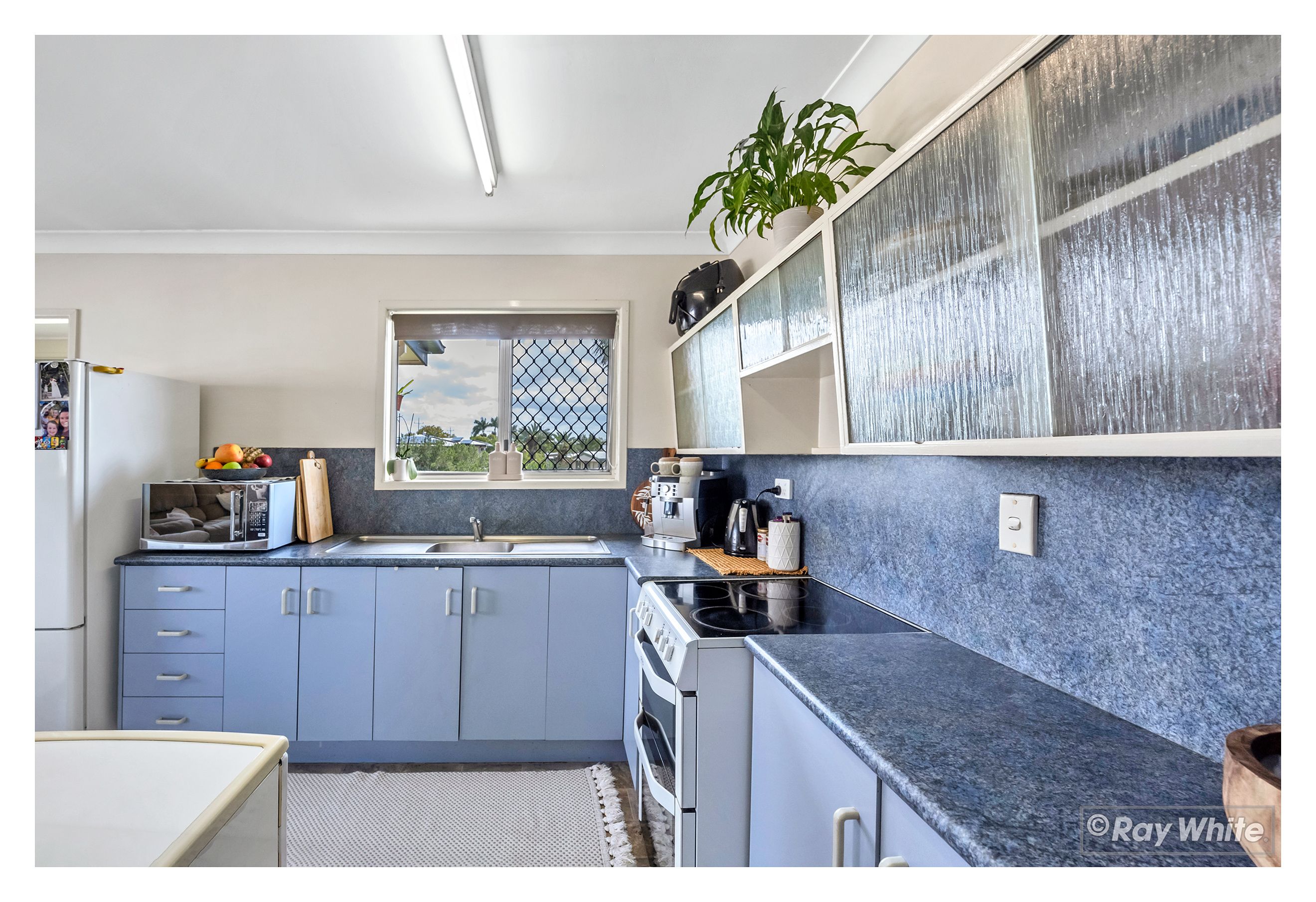 99 Haynes Street, Park Avenue, QLD 4701 Sold House Ray White