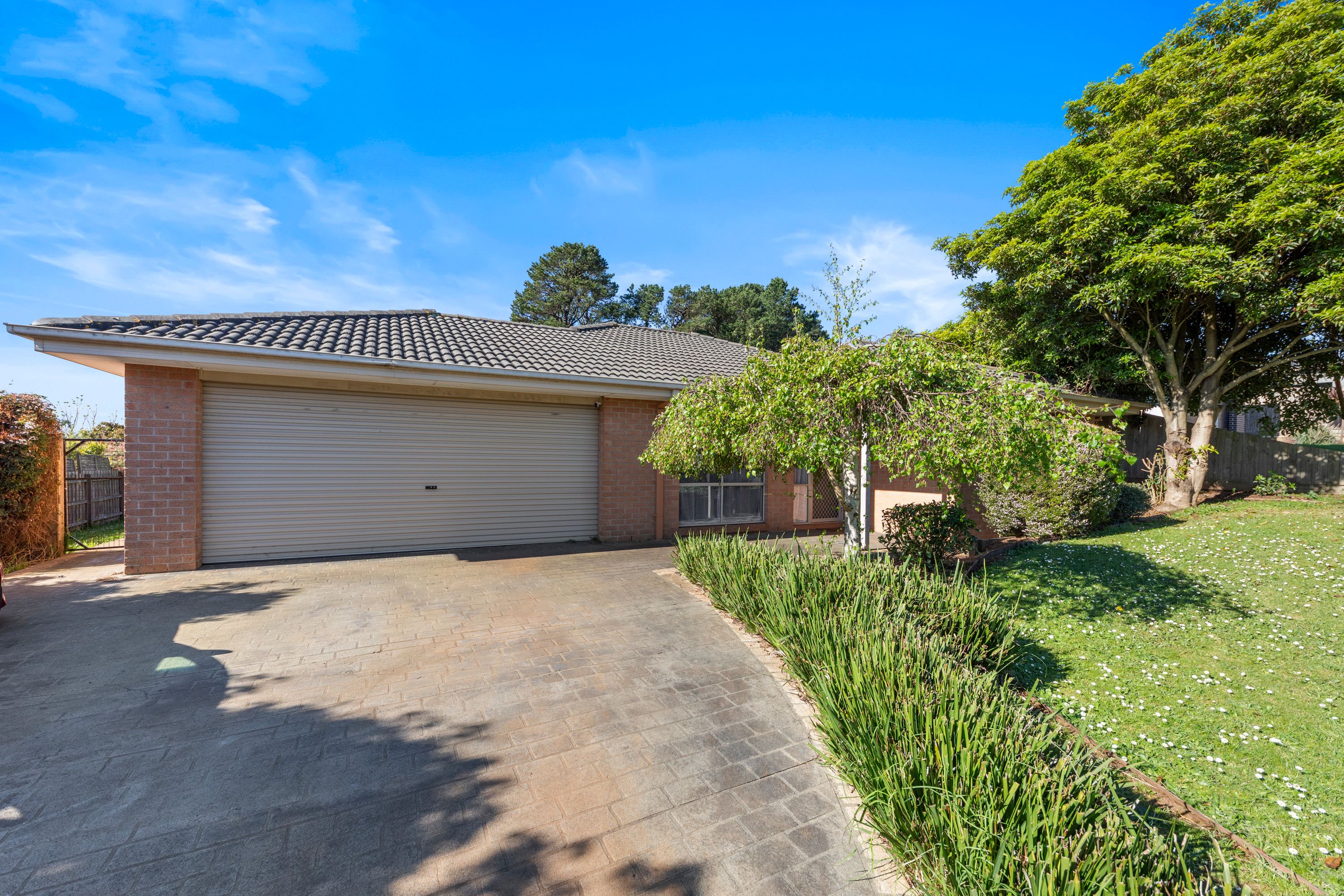 19 Davey Drive — photo 16 of 22