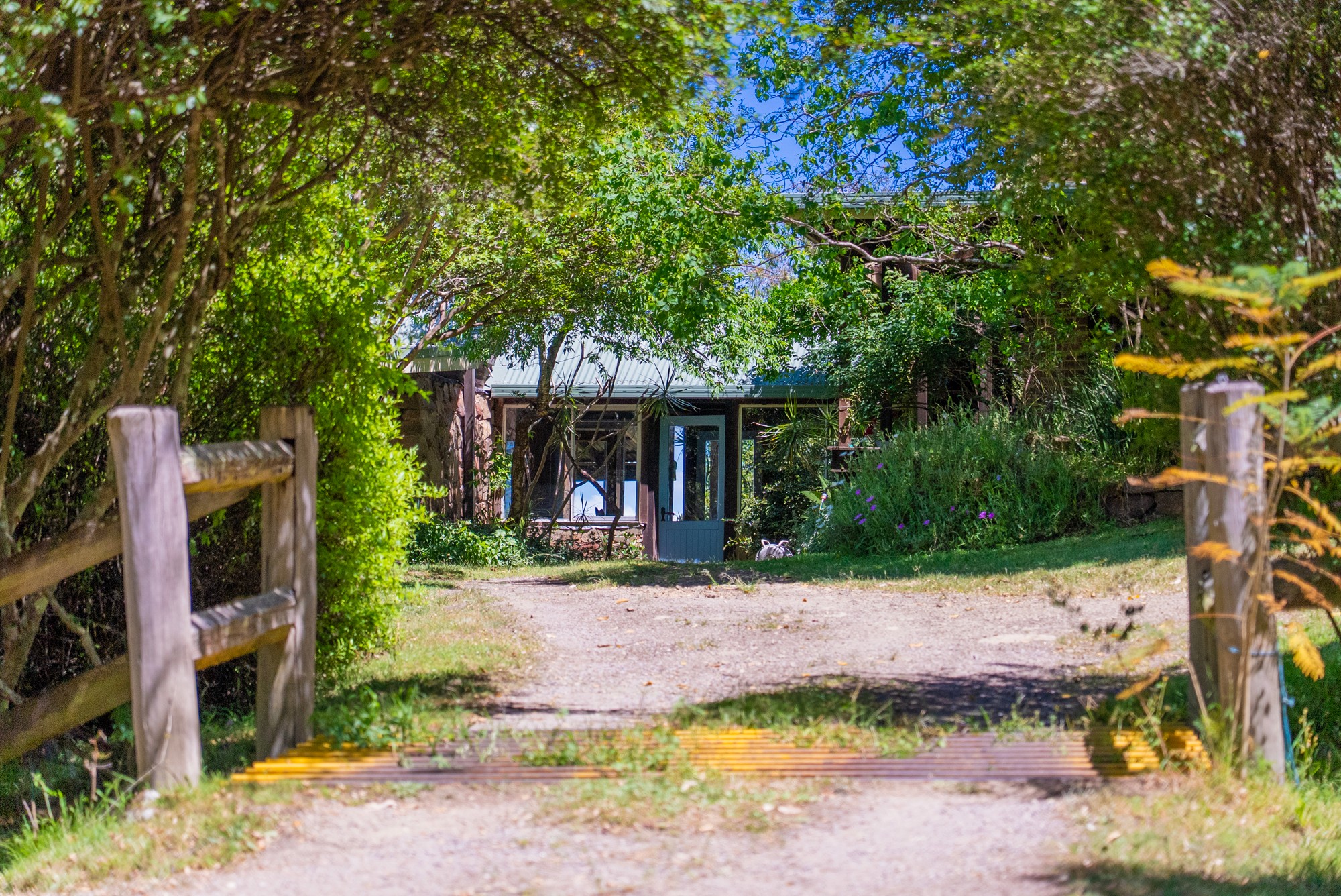 123 Parishs Road, Hilldale via, Dungog, NSW 2420