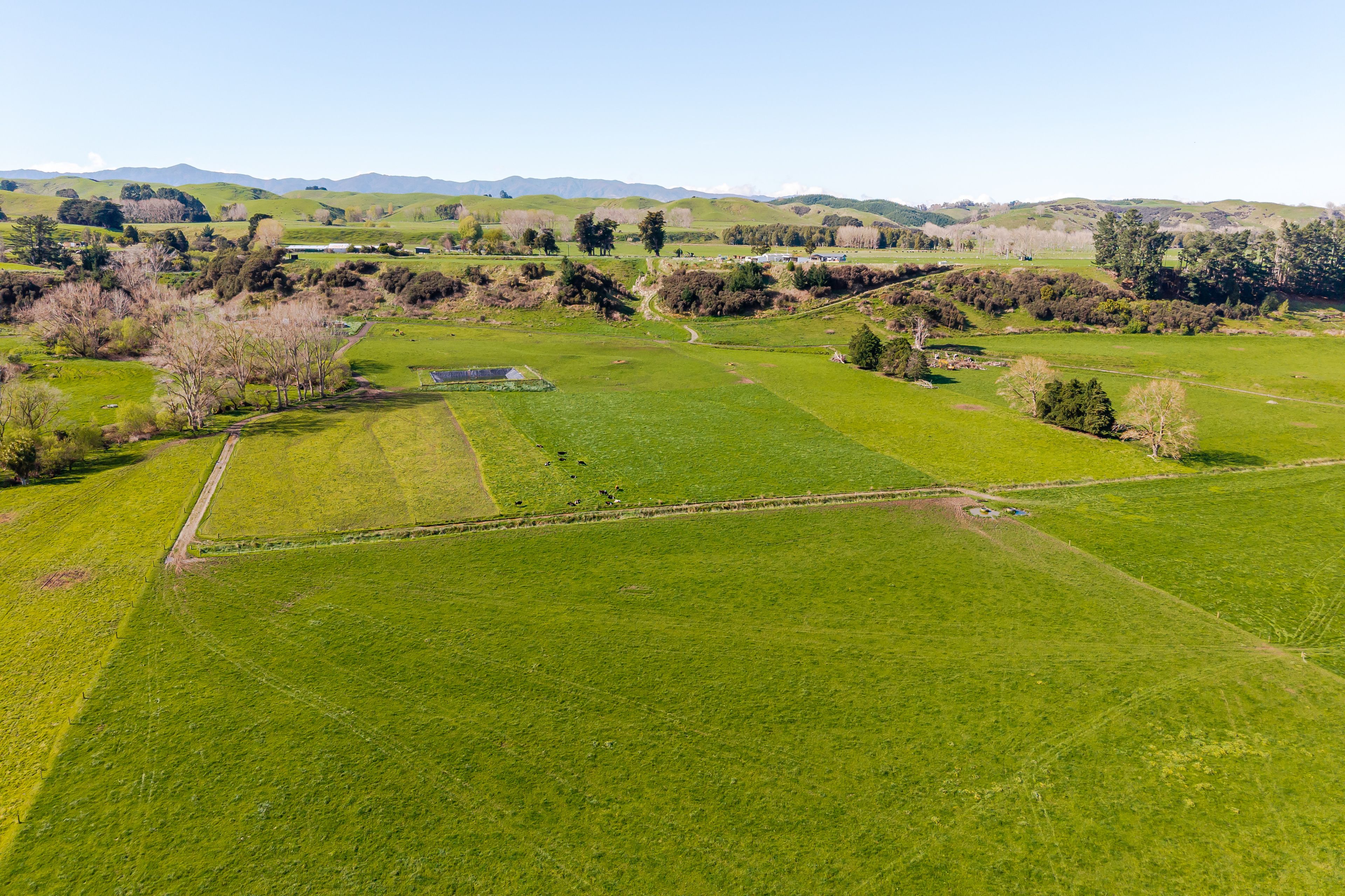 243 Te Awa Road, Kiwitea, Manawatu District 4777 - Sold Rural Dairy ...