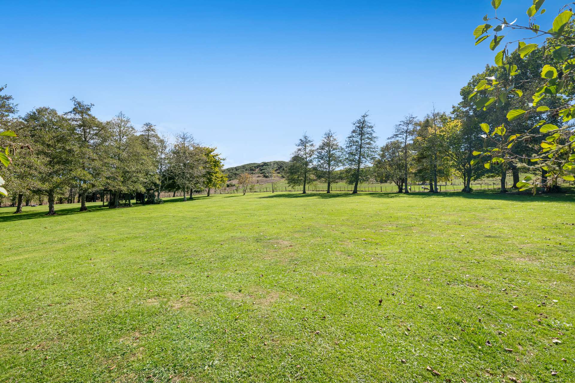 636 Kahikatea Flat Road photo 59