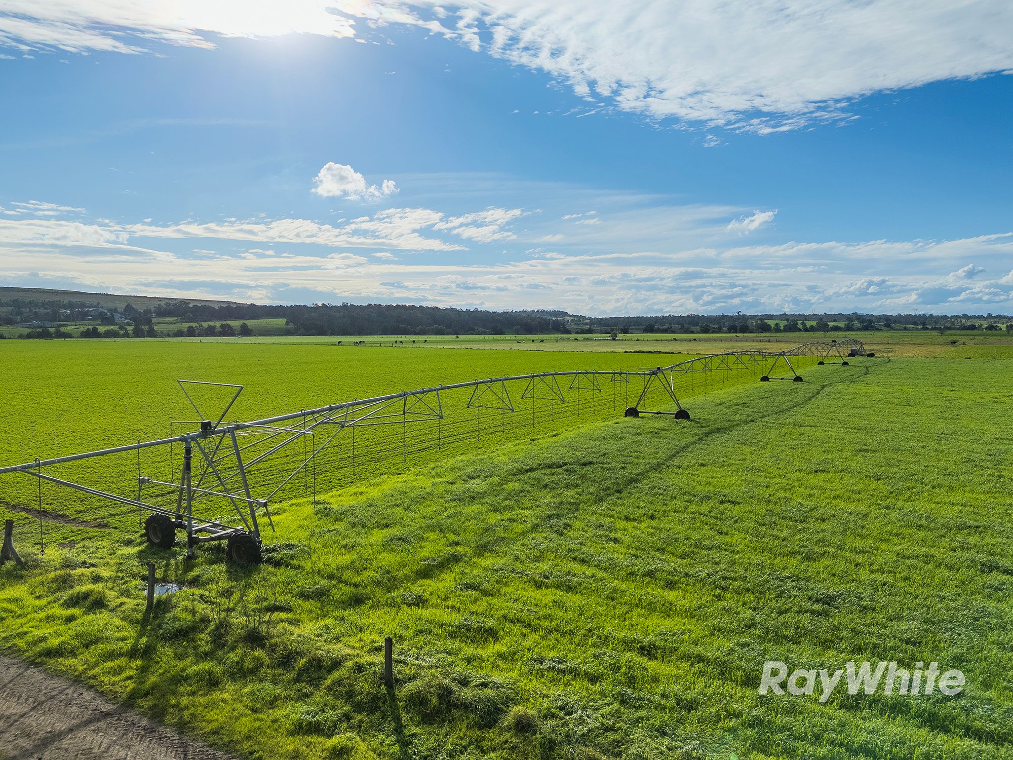 83 Knodlers Lane, Maison Dieu — photo from Ray White Rural Singleton