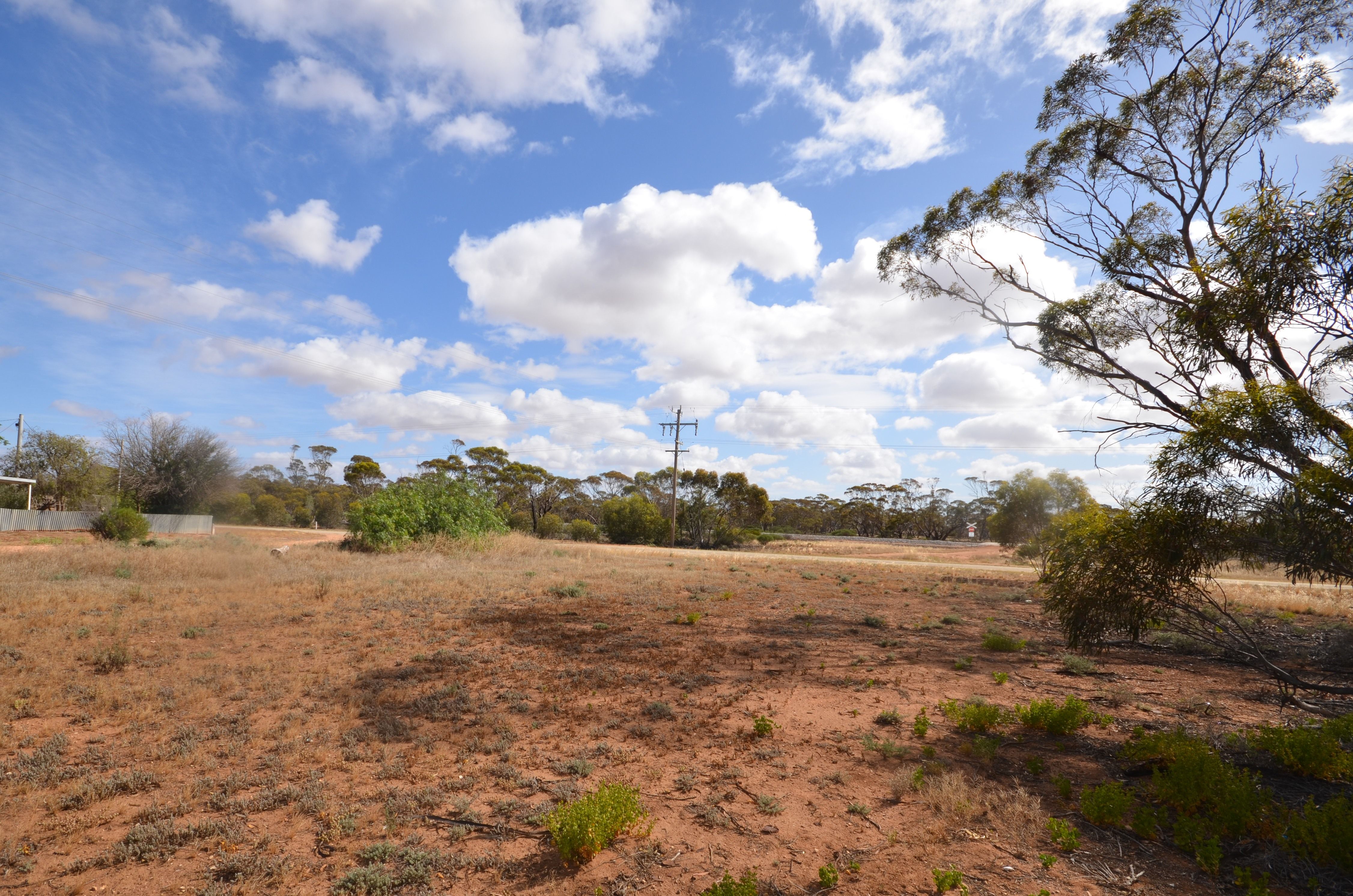 Lot 1 Cnr Springfield Road & Smyth Street, CHILLINGOLLAH, VIC 3585