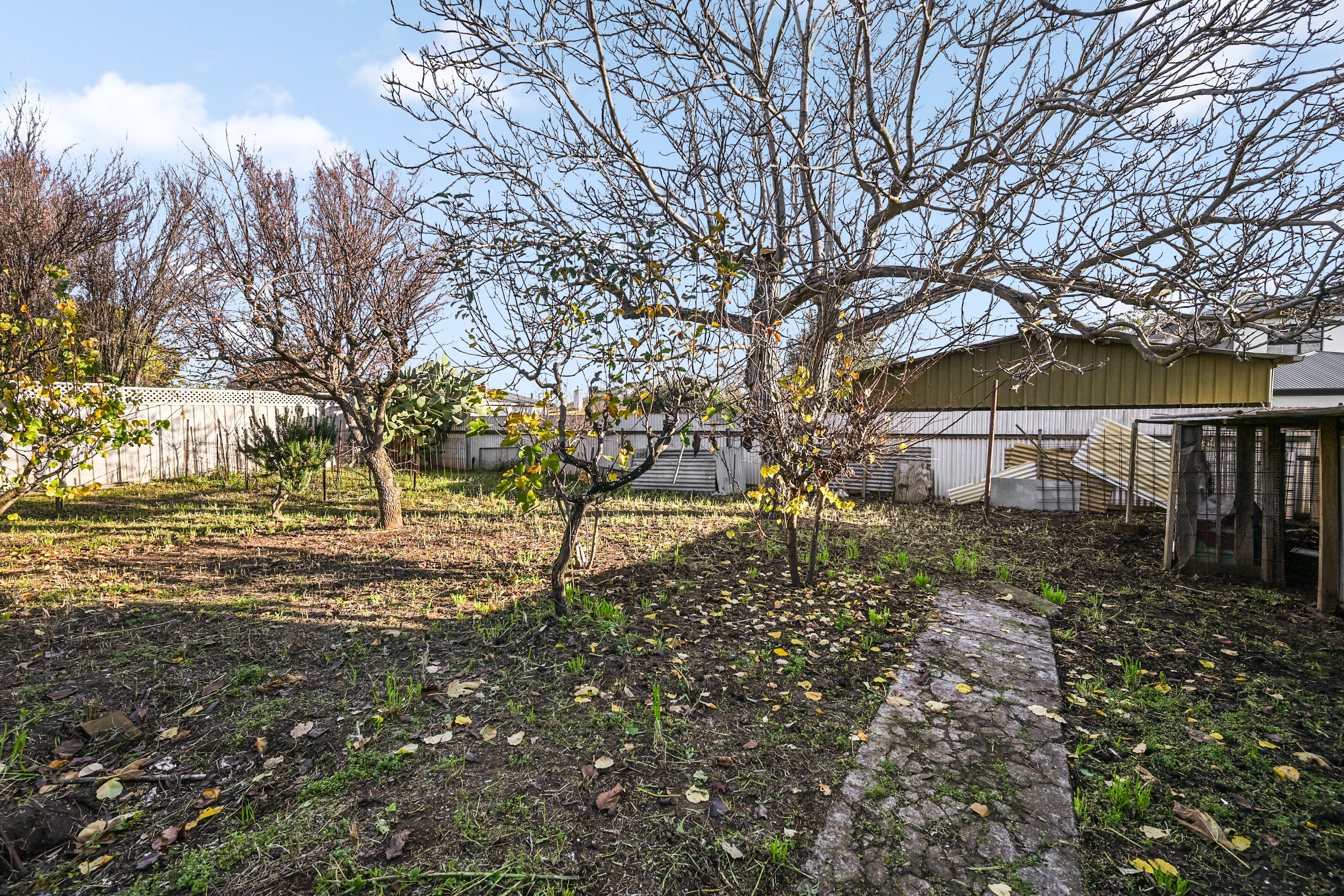 7 Cardigan Avenue — photo 17 of 20