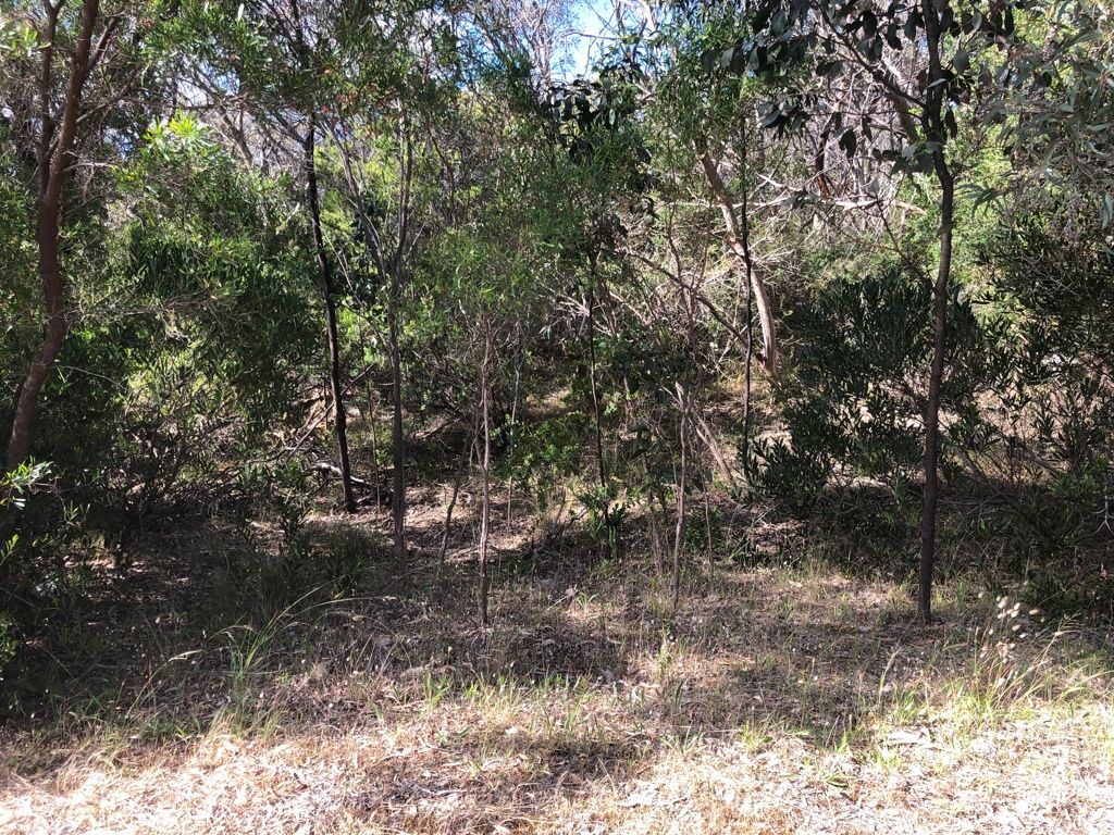 Lot 4 Avenue Range Road, Reedy Creek, SA 5275