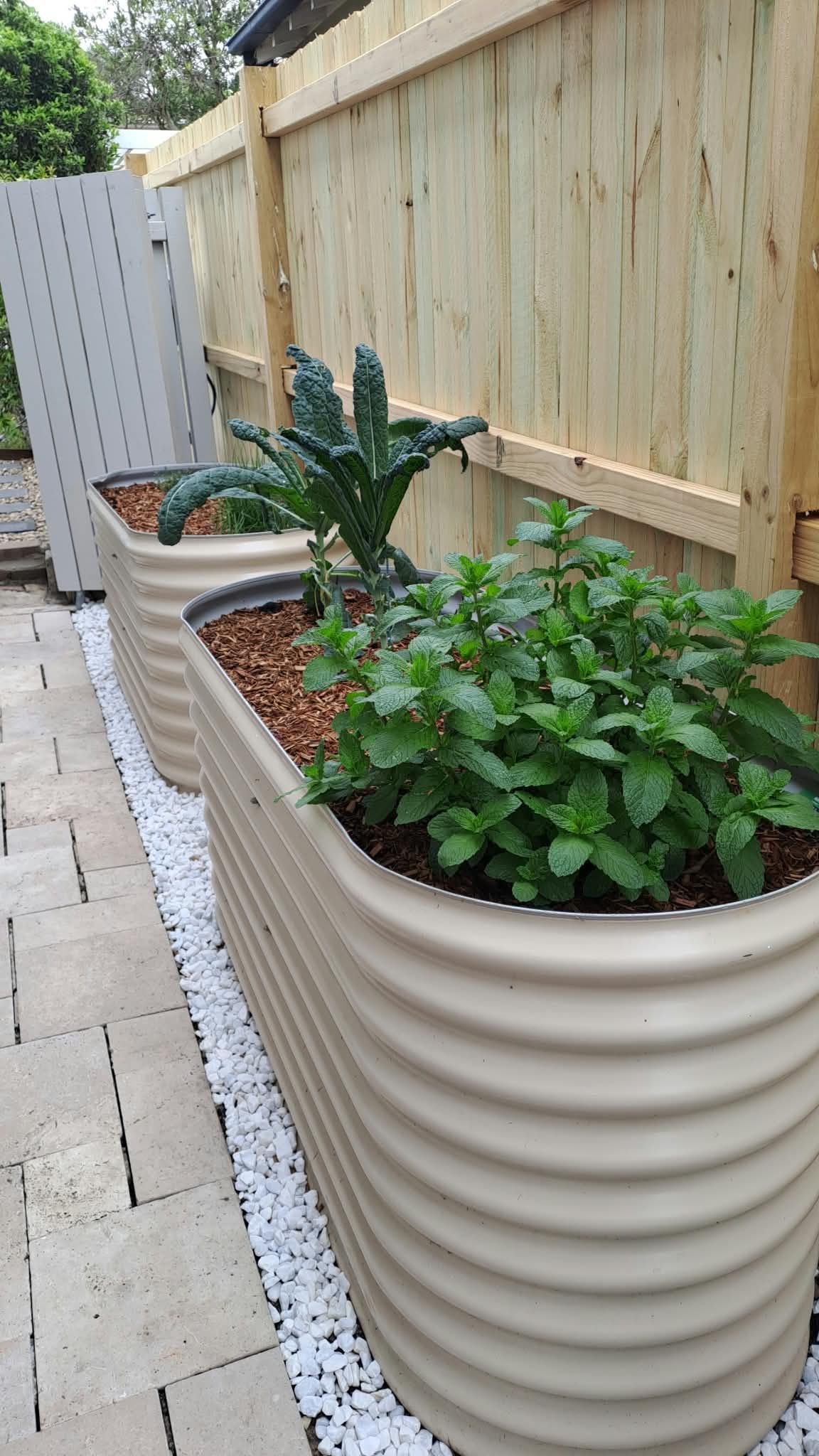 18 Bouvardia Street — photo 17 of 19