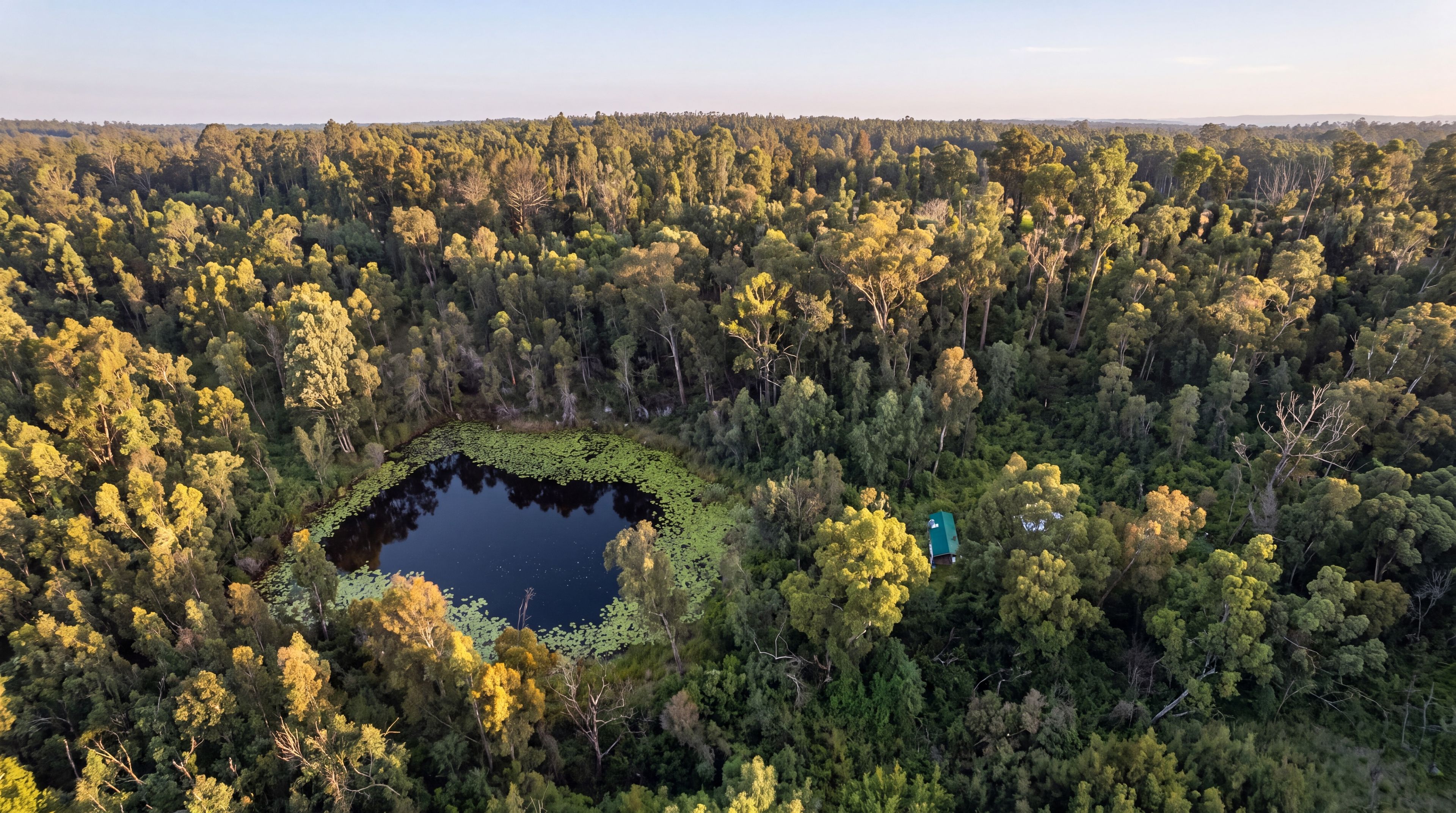 215 Martin Road, Nymboida, NSW 2460