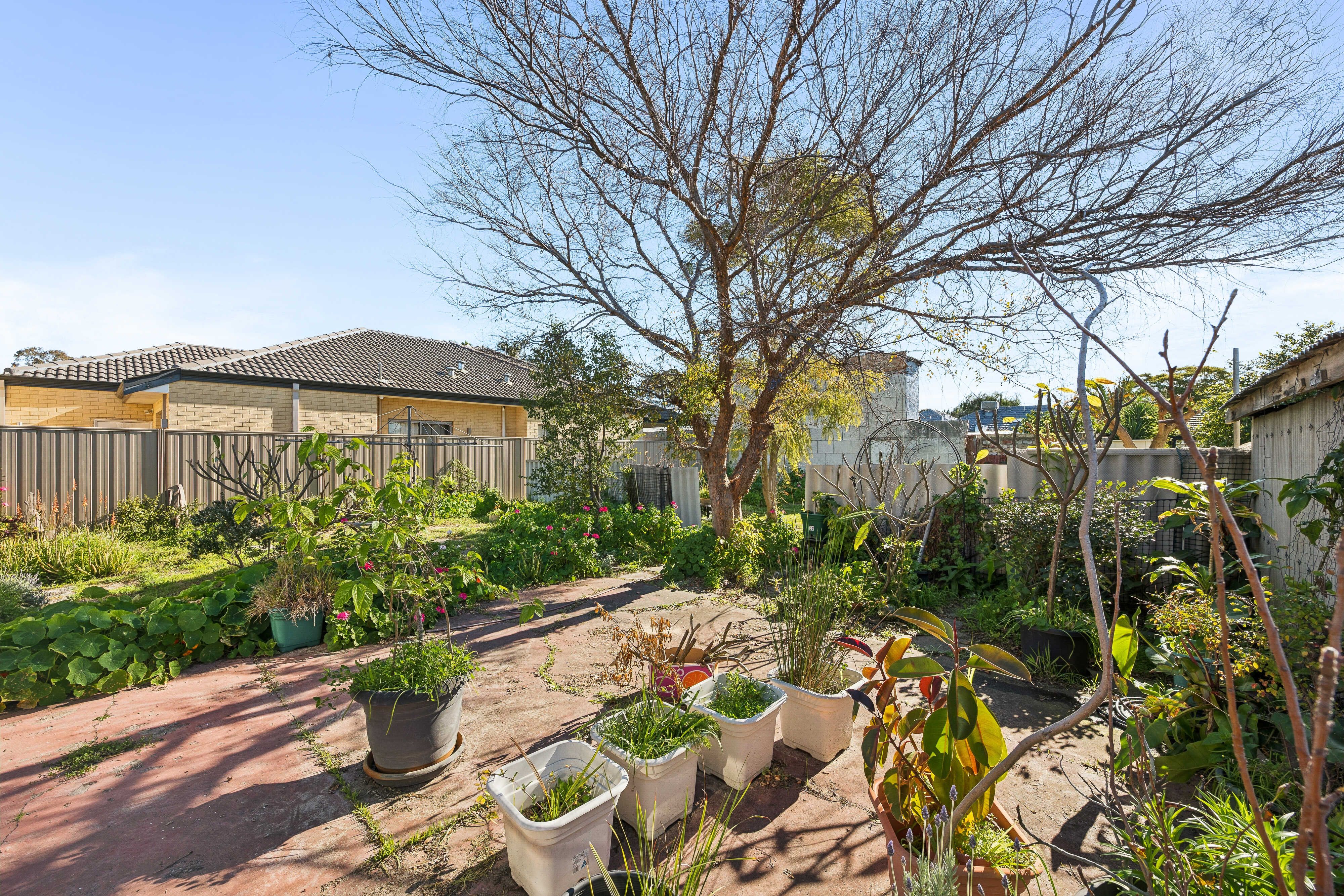 45 Coolgardie Street — photo 14 of 23